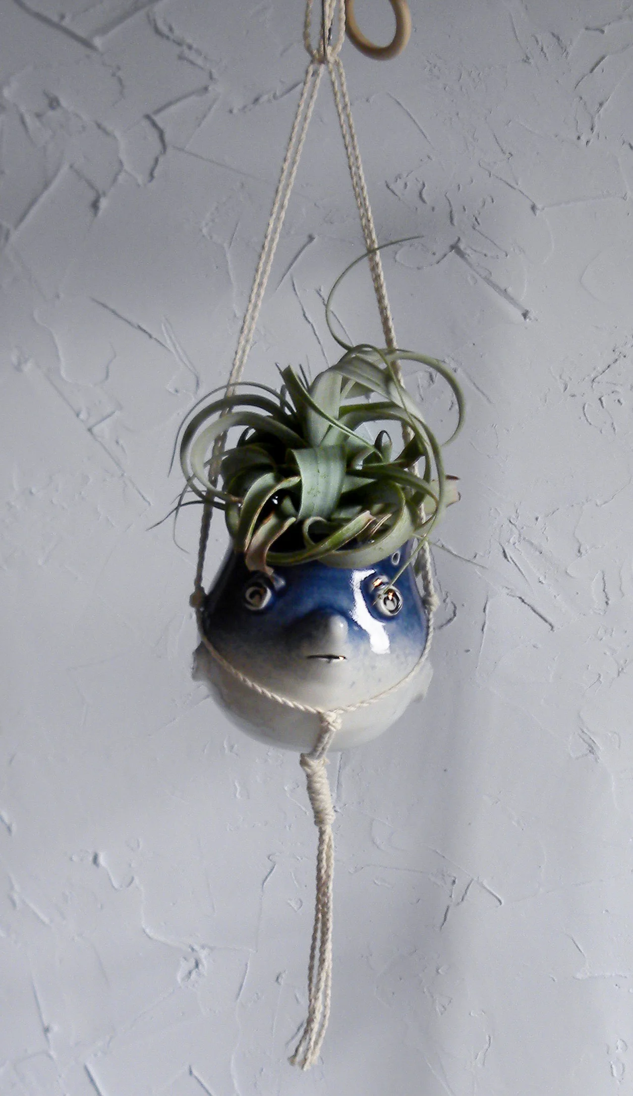 DSCN9278.jpg