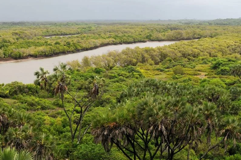 The-Tana-River-C.S.-Owen.jpg