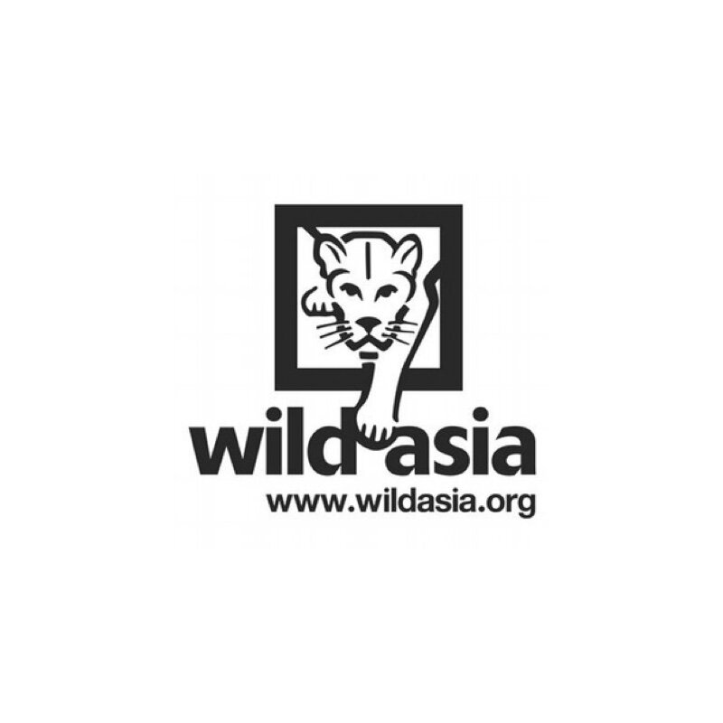 Network-Wild Asia.jpg