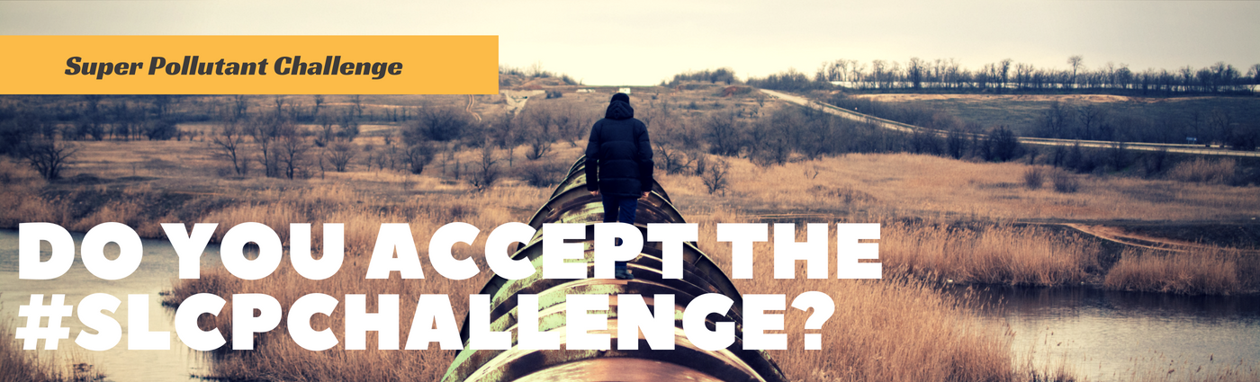 SLCP challenge banner.png