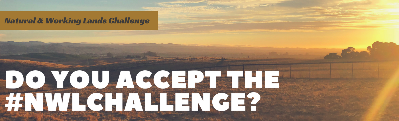 NWL challenge banner_highres.png