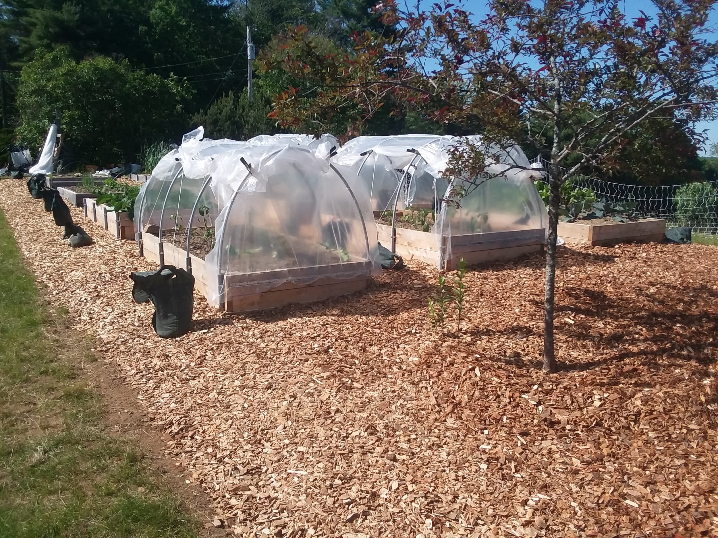 20180612_153708.jpg