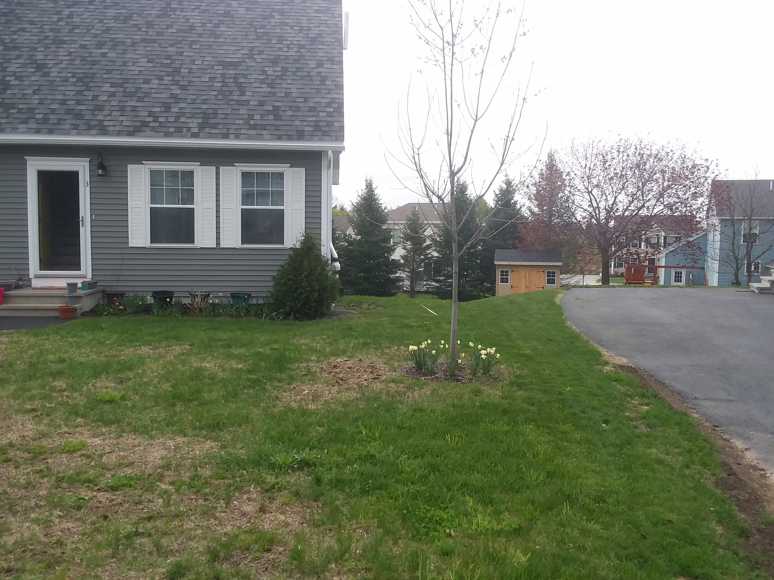 20180510_103204.jpg