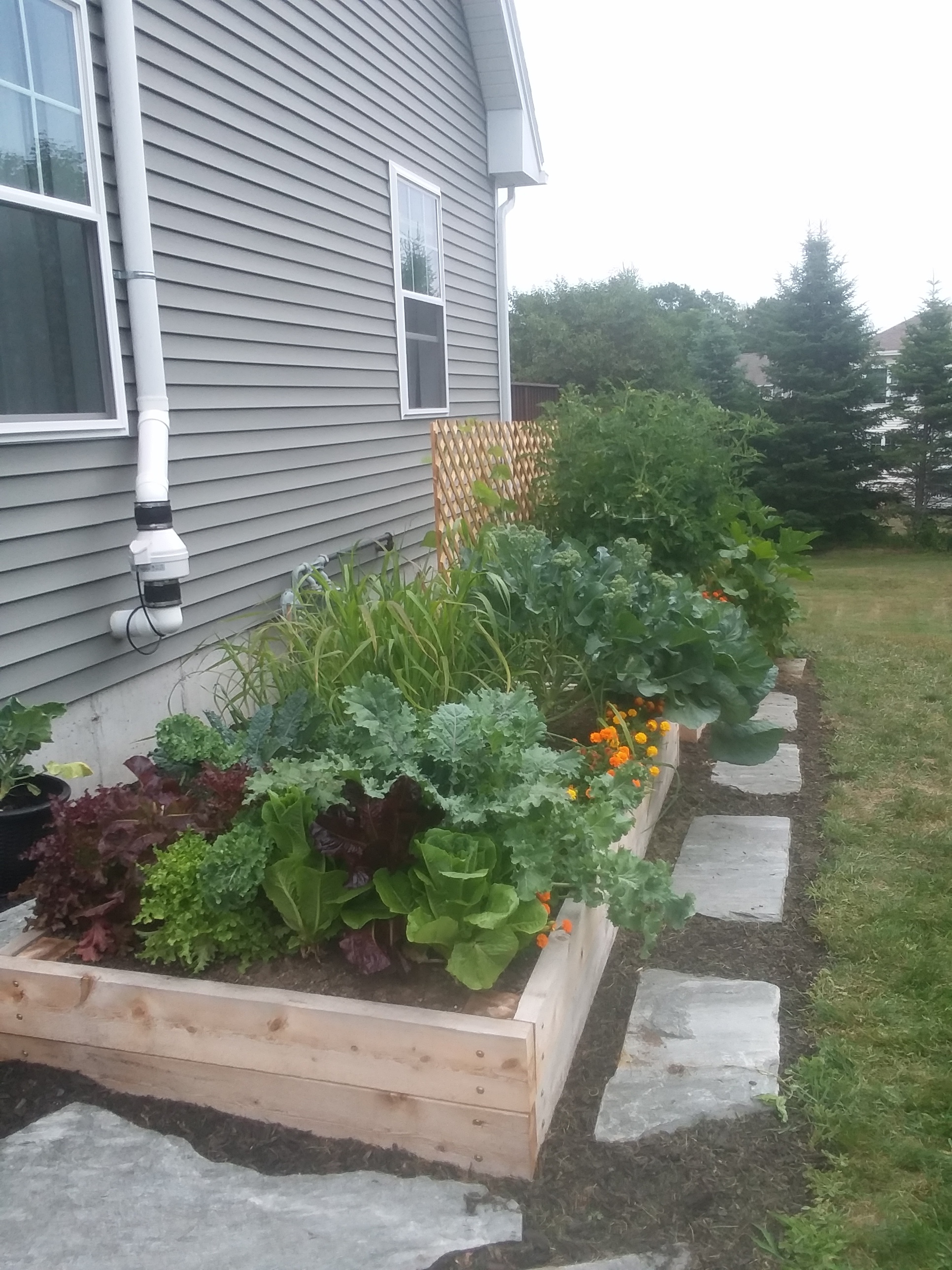 20180714_130633.jpg