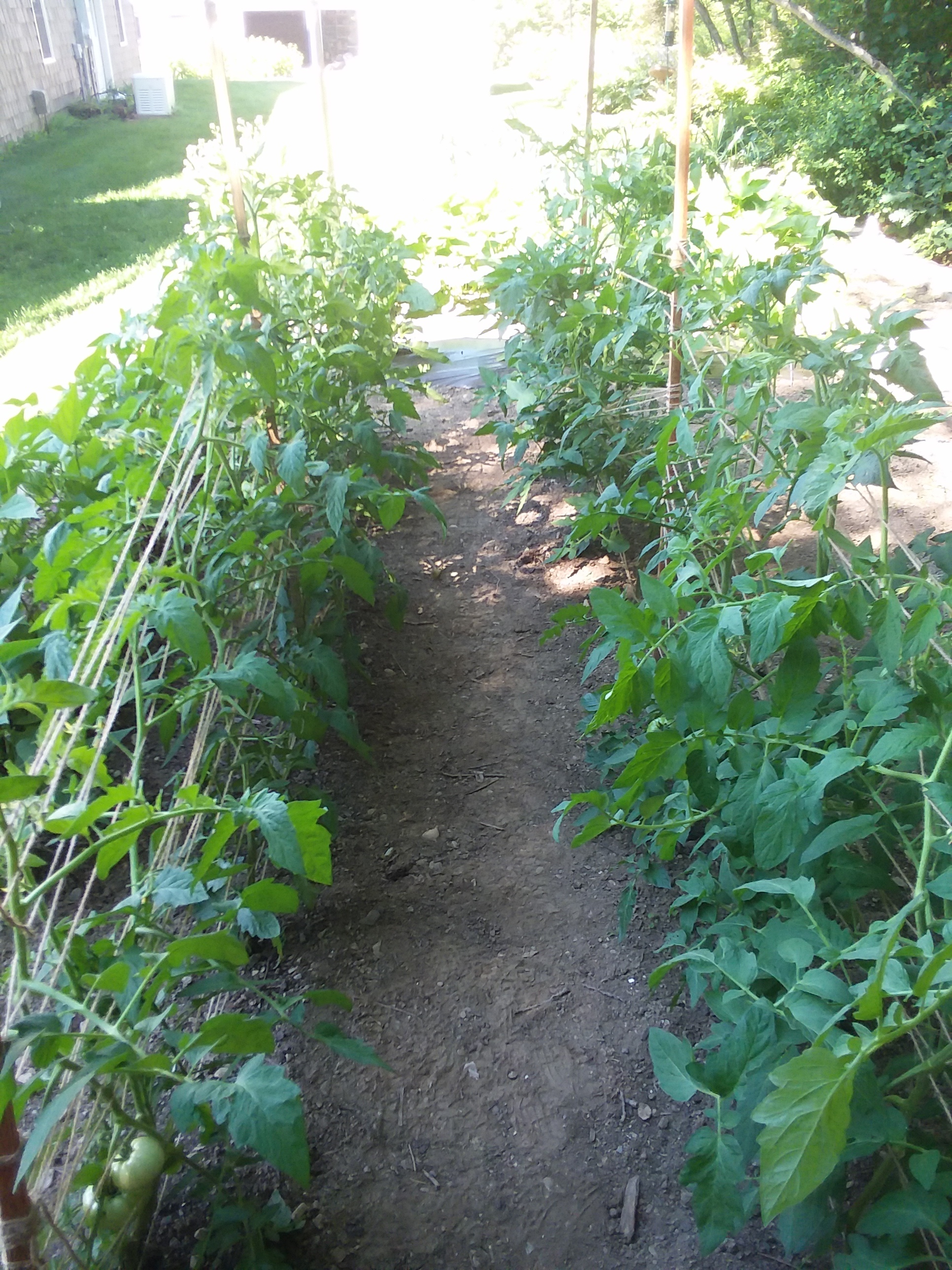 20180713_093529.jpg