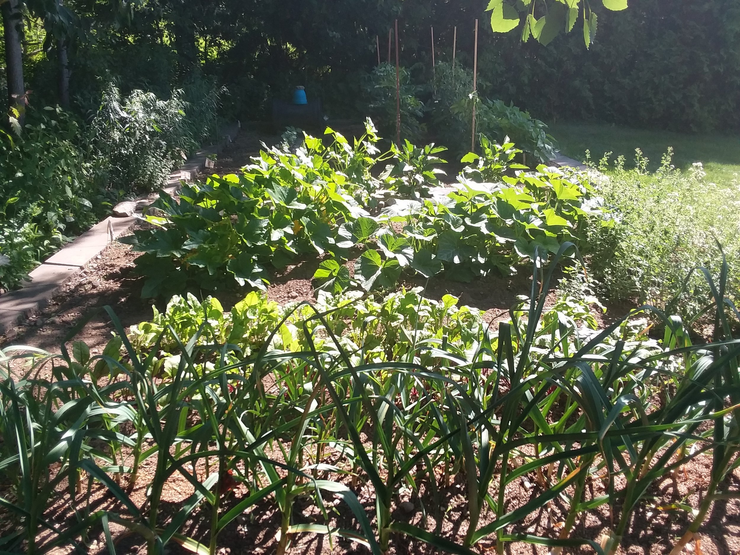 20180713_095151.jpg