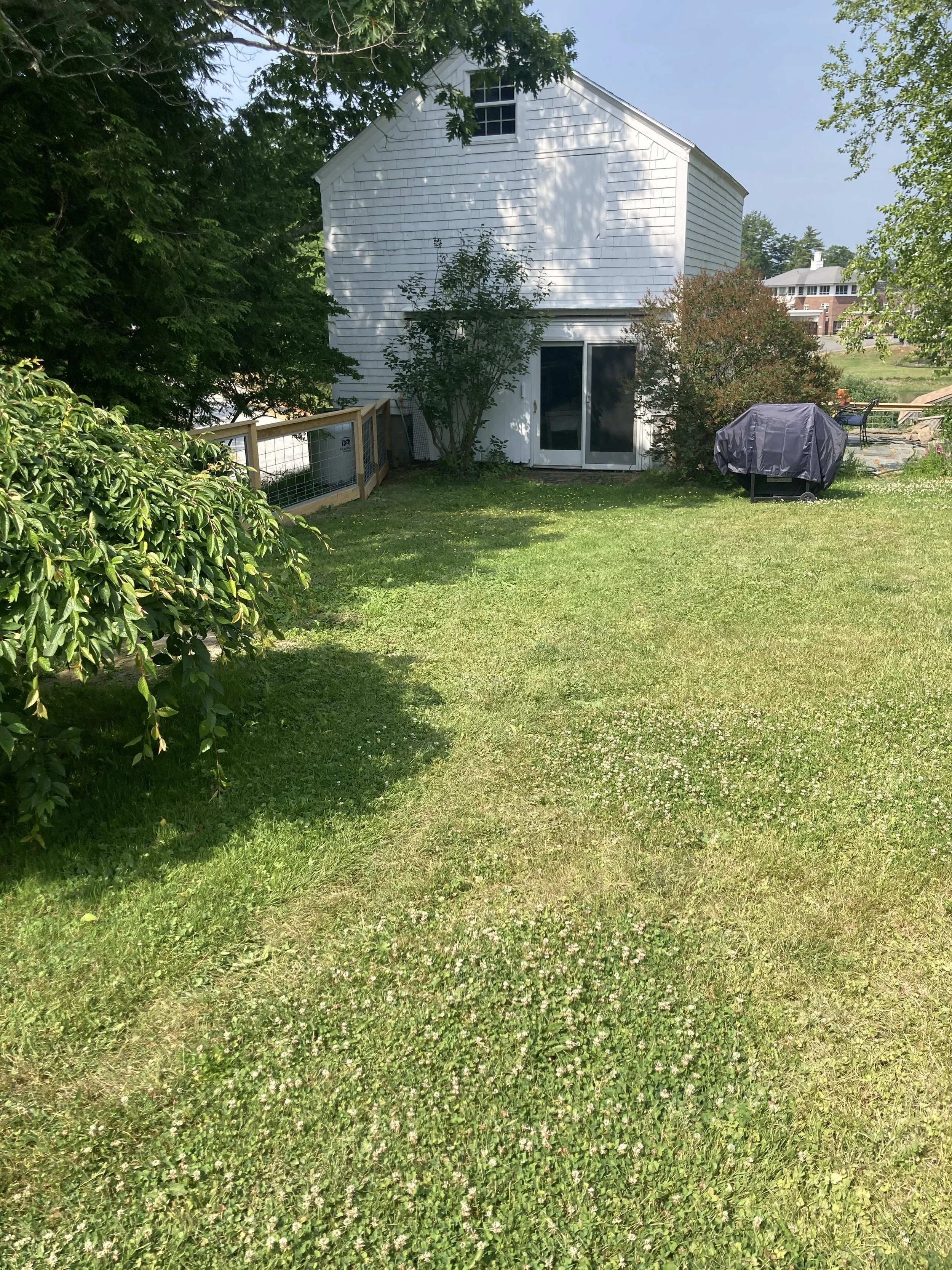 IMG_1803.JPEG