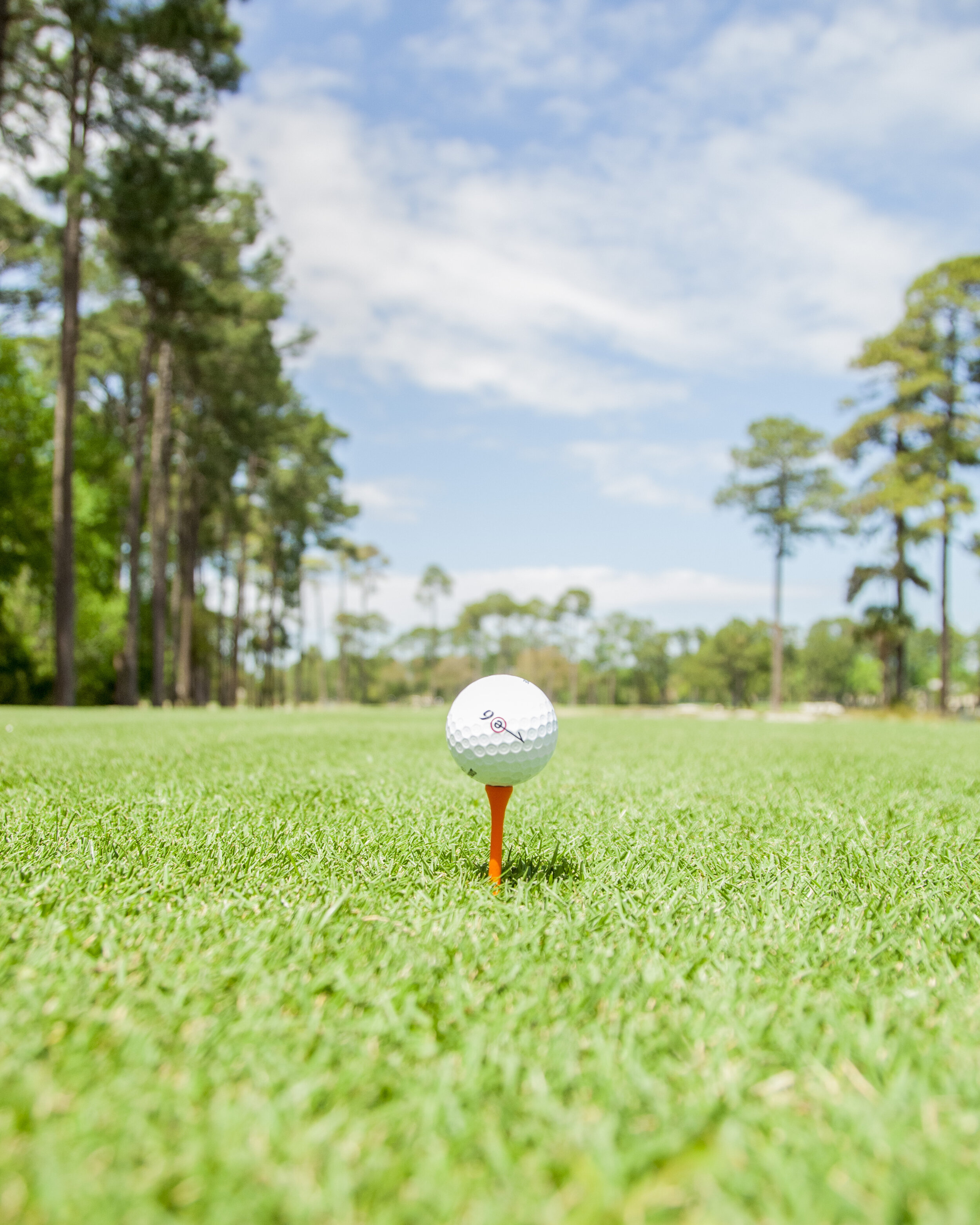RBC-2014-WEXFORD-Golfing-381-LeicaM-.jpg