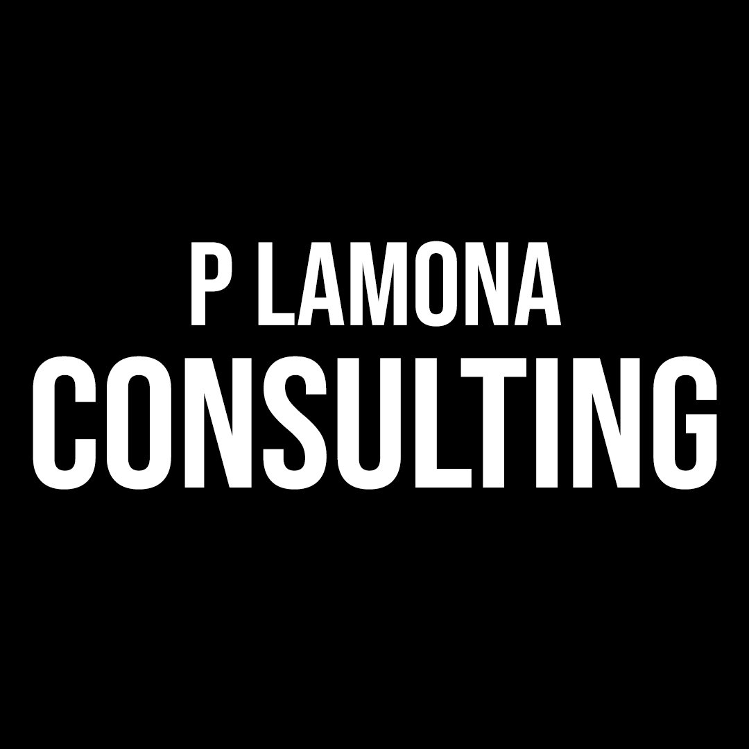 P Lamona Consulting.jpg