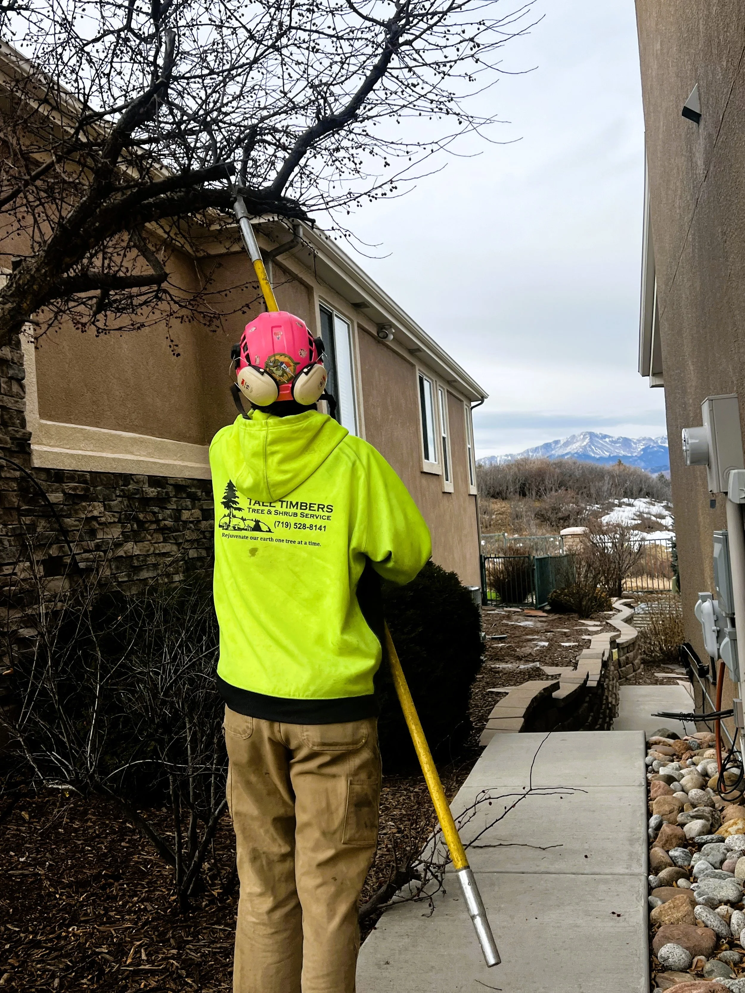 Woman Pruning a Tree