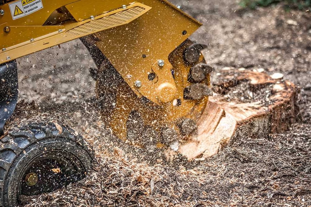 stump-grinding-01.jpg