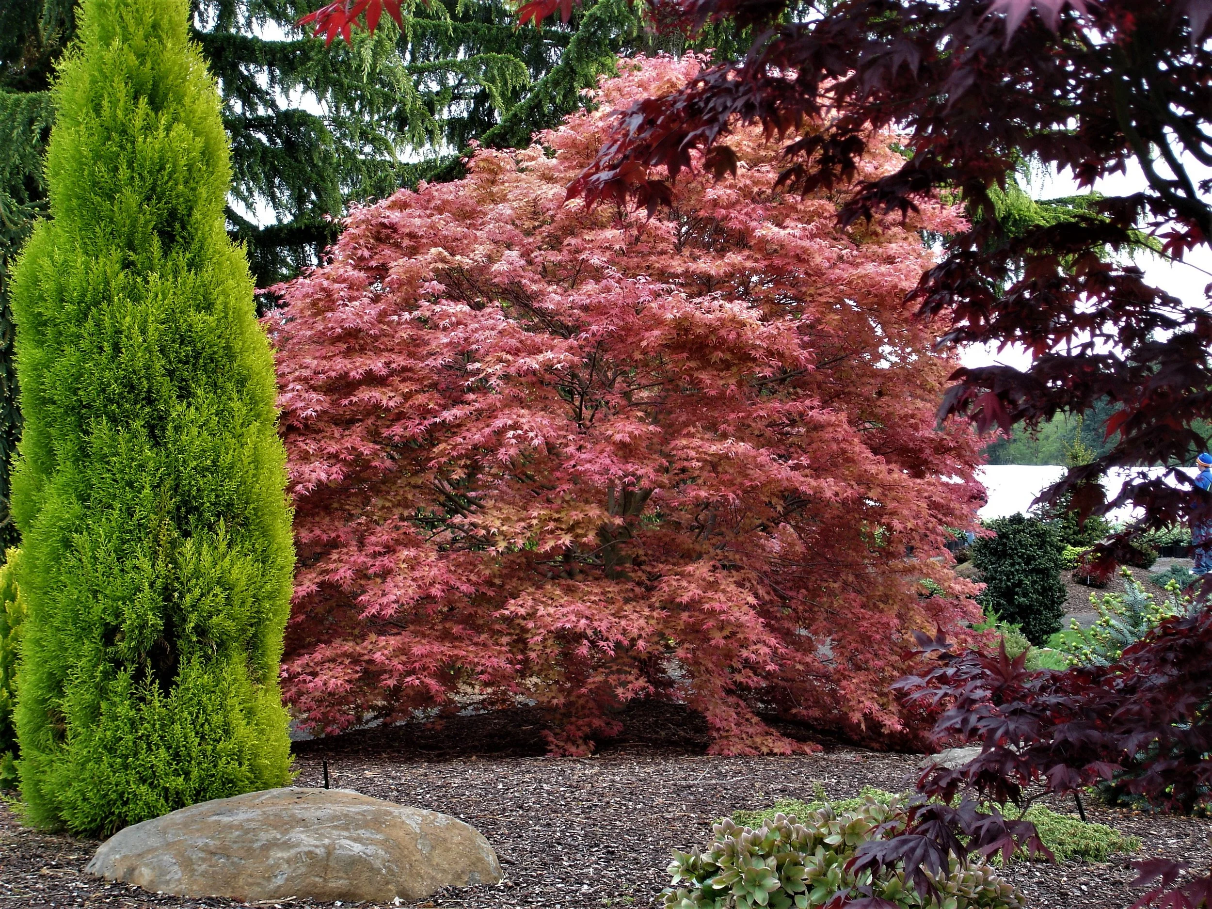 PNW Trip 045.jpg