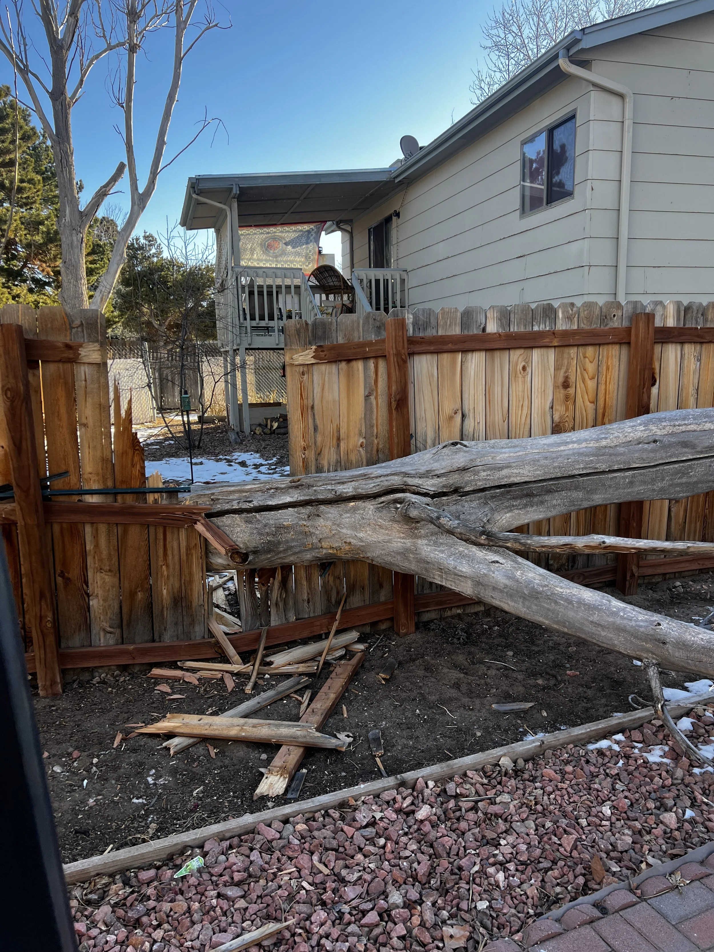 A backyard with a wooden fence, a fallen tree branch, and a section of garden bed with rocks and debris. The house in the background has a small porch with a chair and a decorative rug, and the yard shows some snow patches and bare trees.