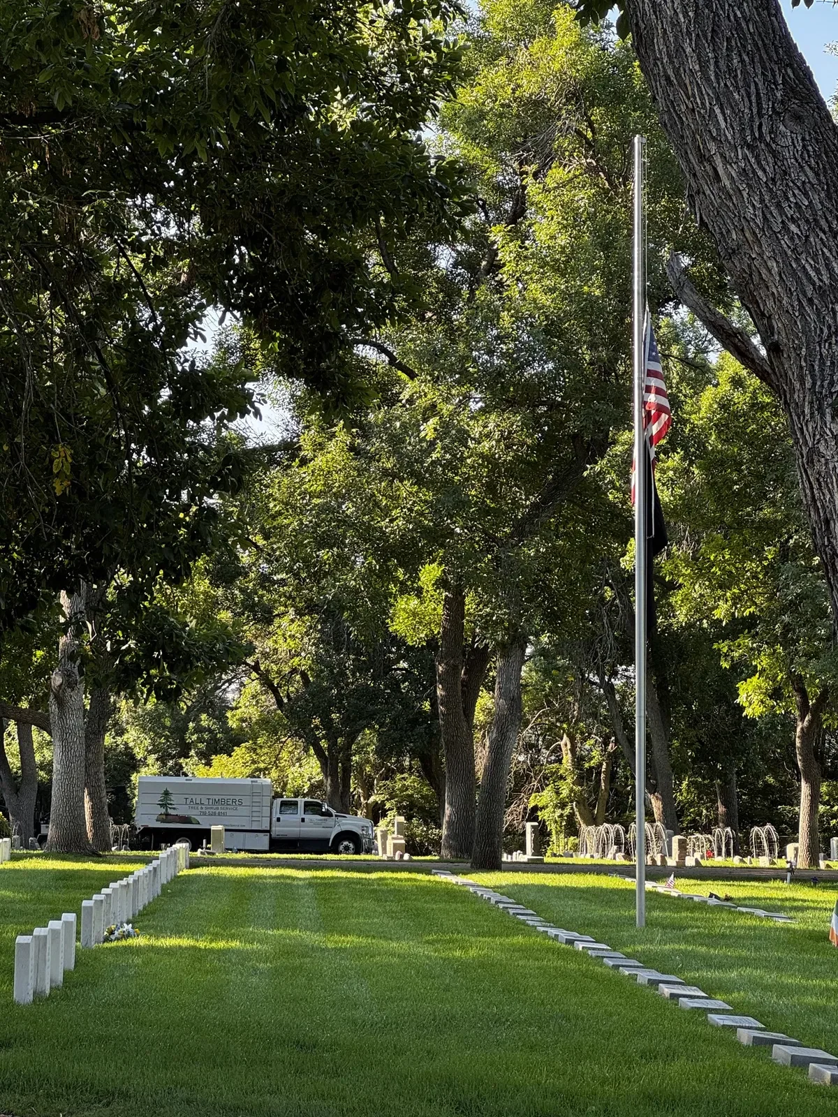 Saluting Branches - Truck and Flag.webp