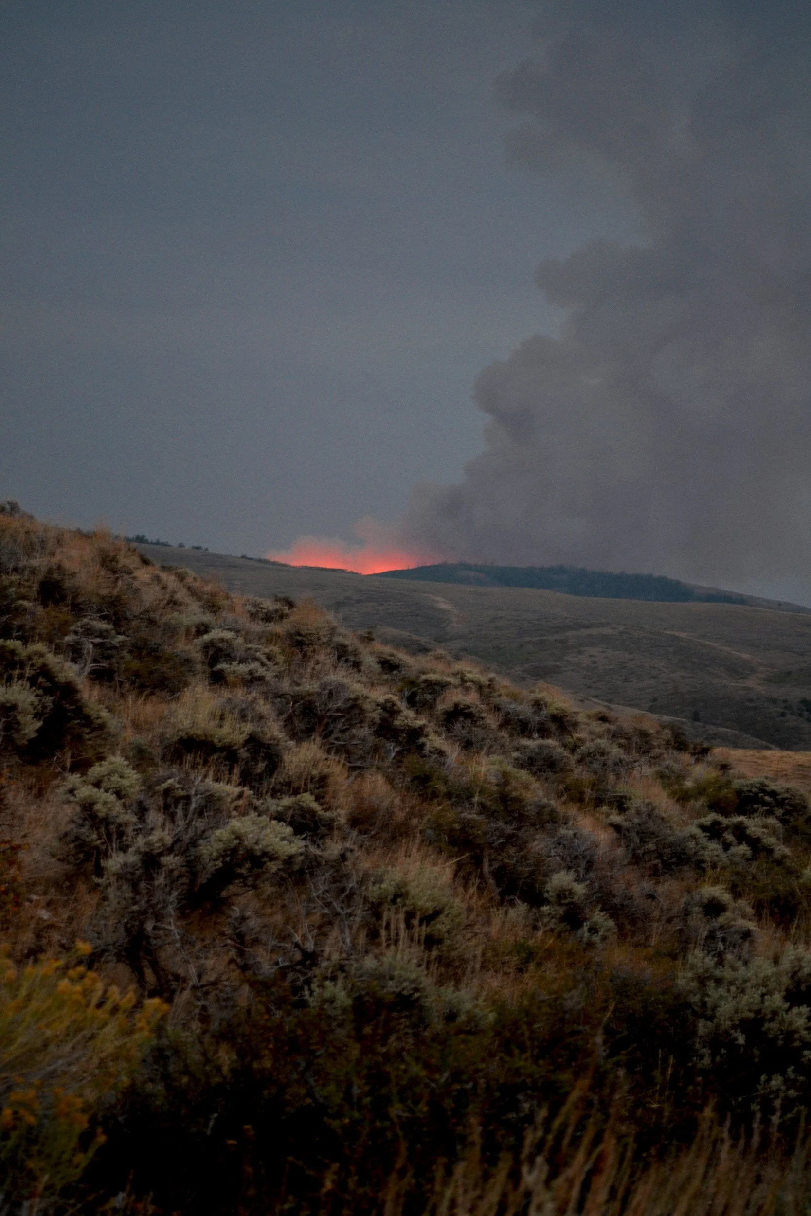 Wildfire coming over the top of a hill
