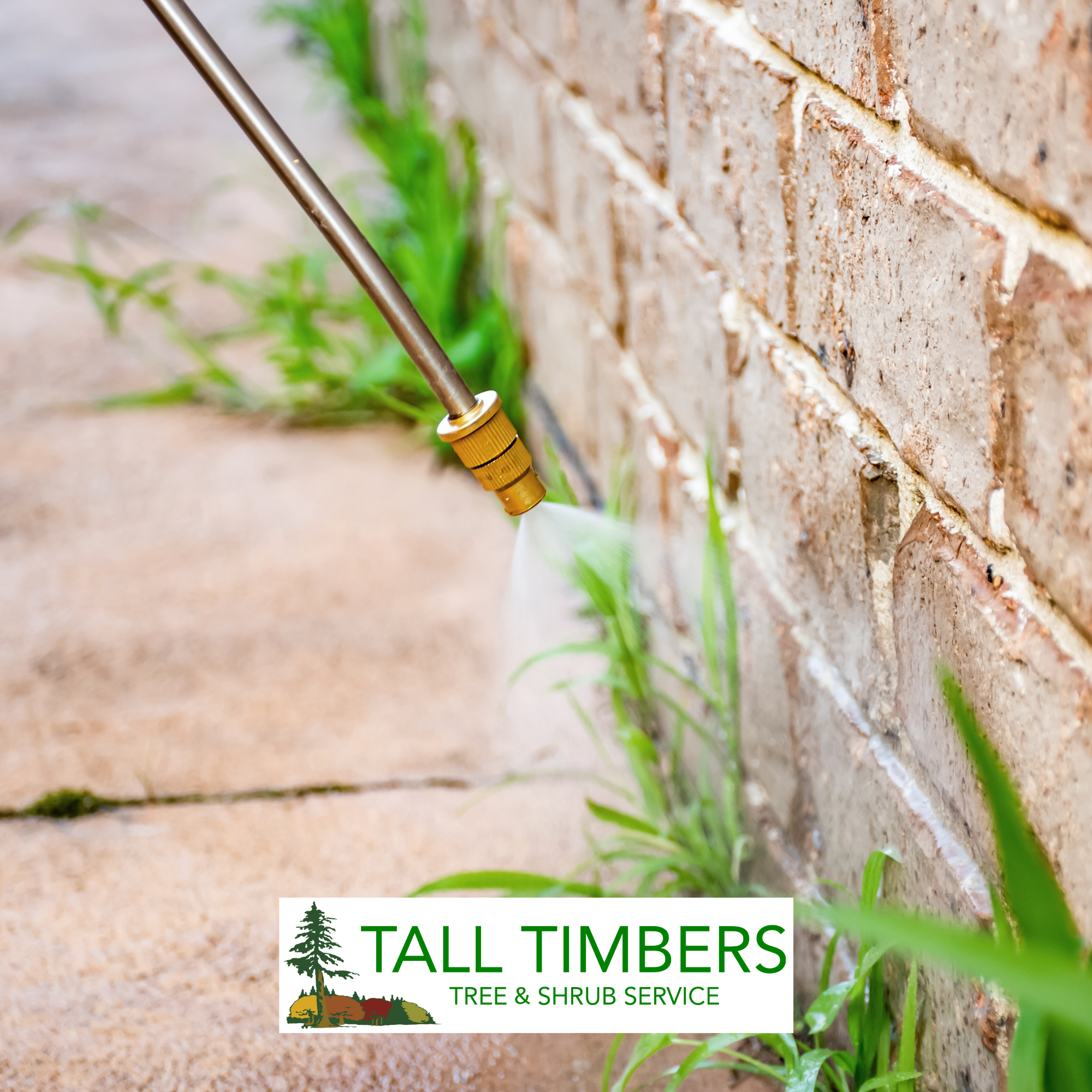 Herbicides and Your Trees: A Colorado Homeowner's Guide to Avoiding Costly Damage