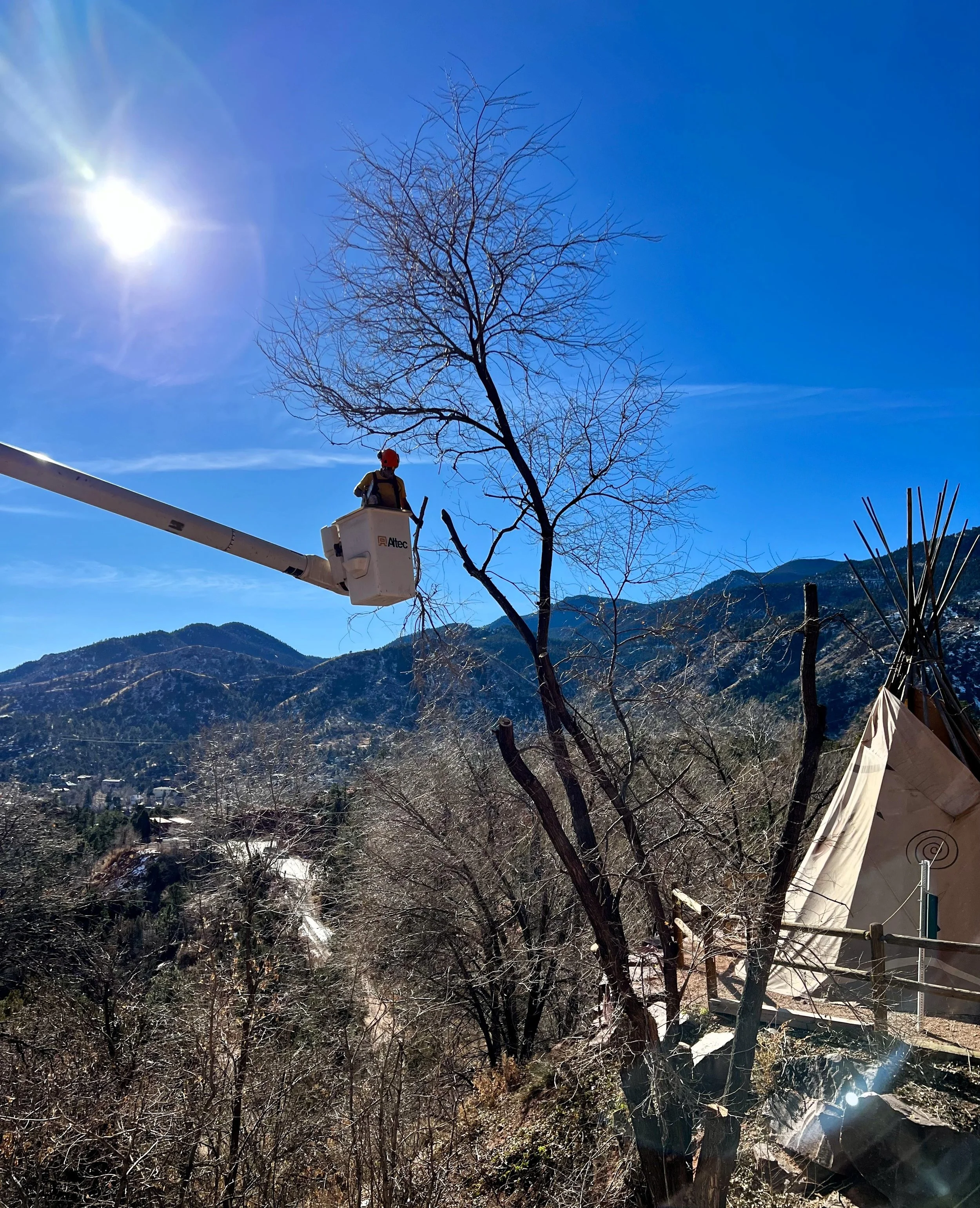 Tree Trimming in bucket truck over manitou springs