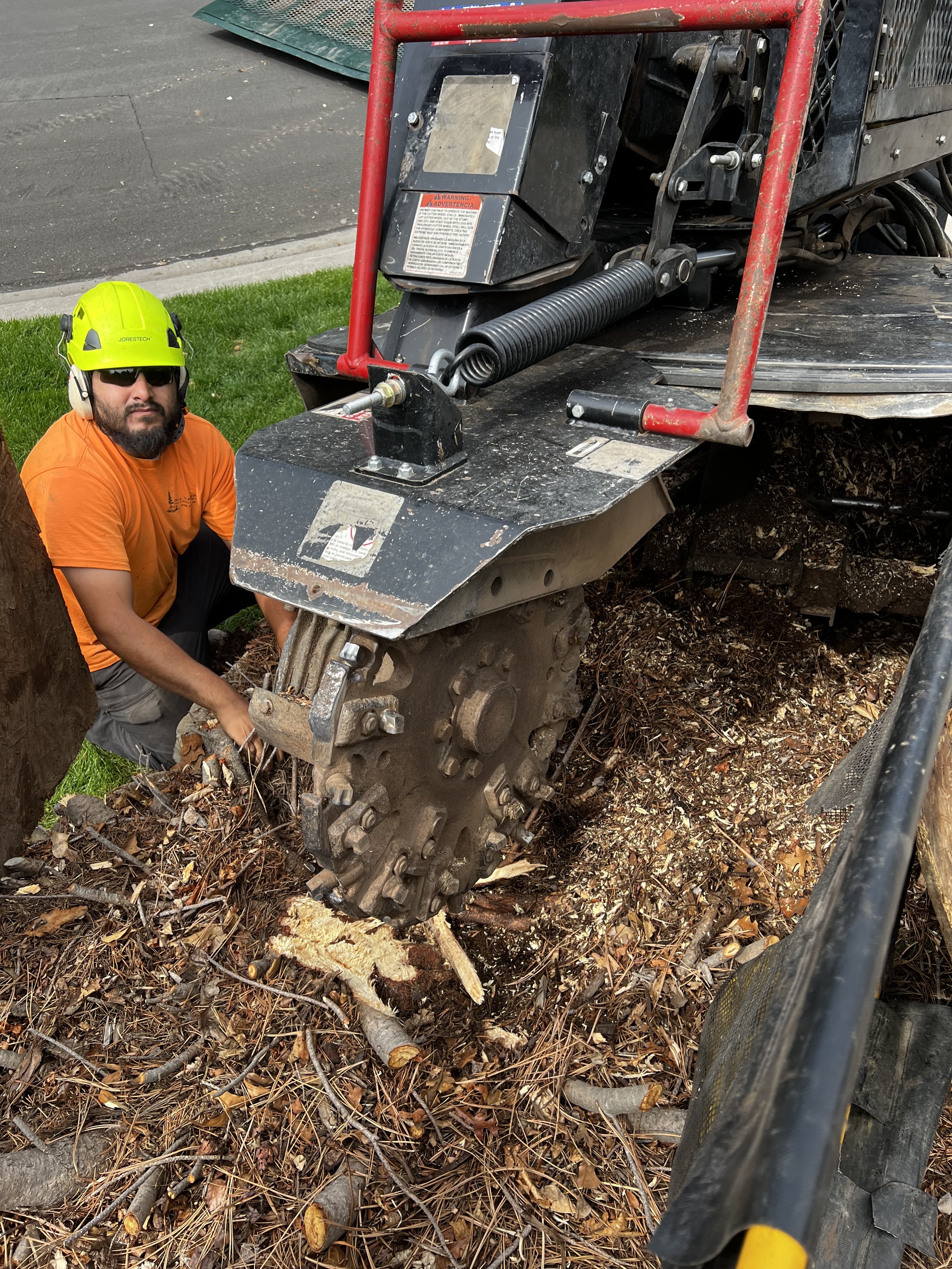 Tall Timbers crew member operating a professional stump grinder in Colorado Springs