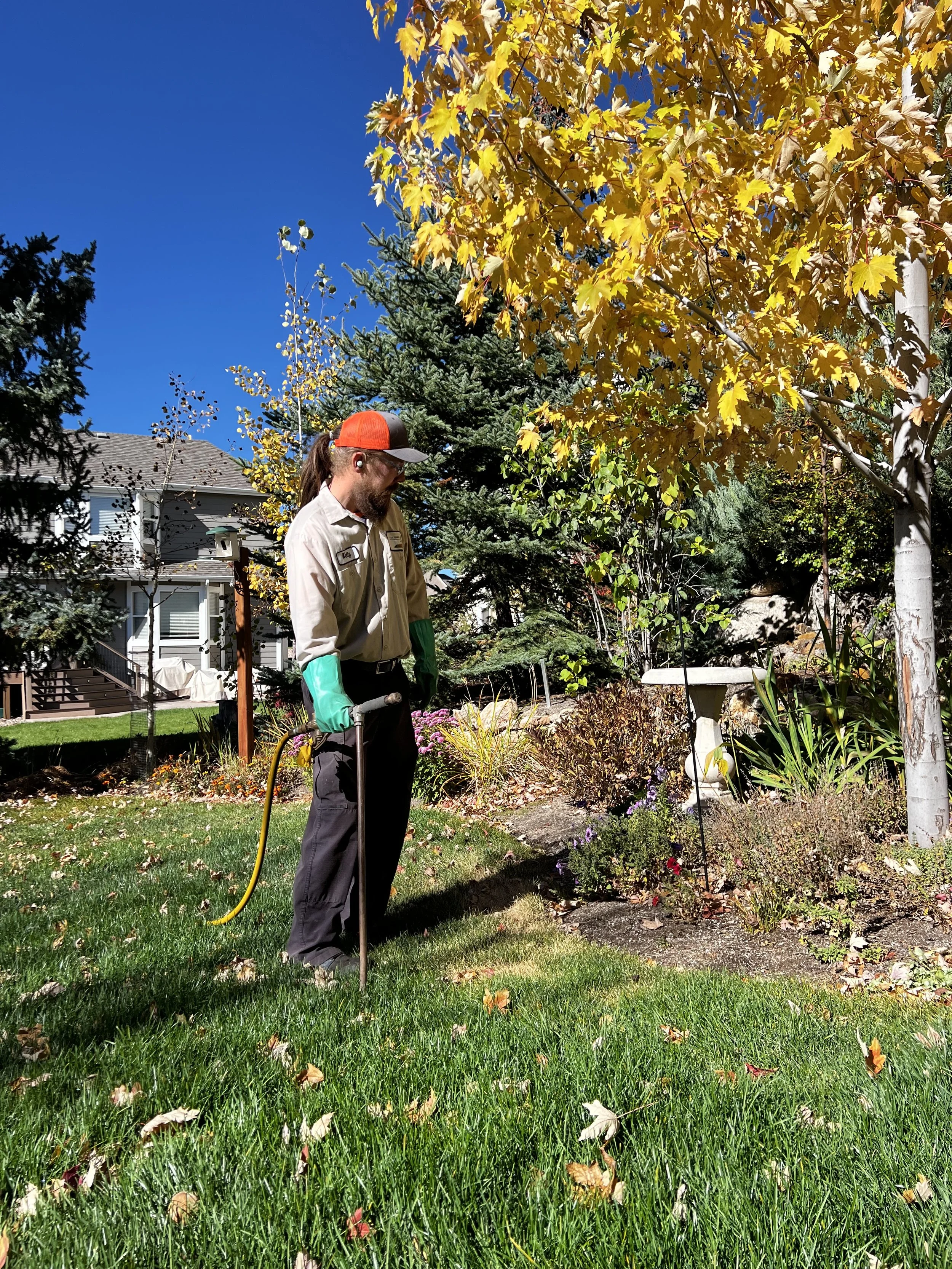 A man wearing a beige work shirt, glasses, a red and black cap, and ear protection is gardening in a backyard. He is watering plants with a garden hose on a sunny day with a clear blue sky. There are trees with autumn leaves, a garden, and a house in the background.
