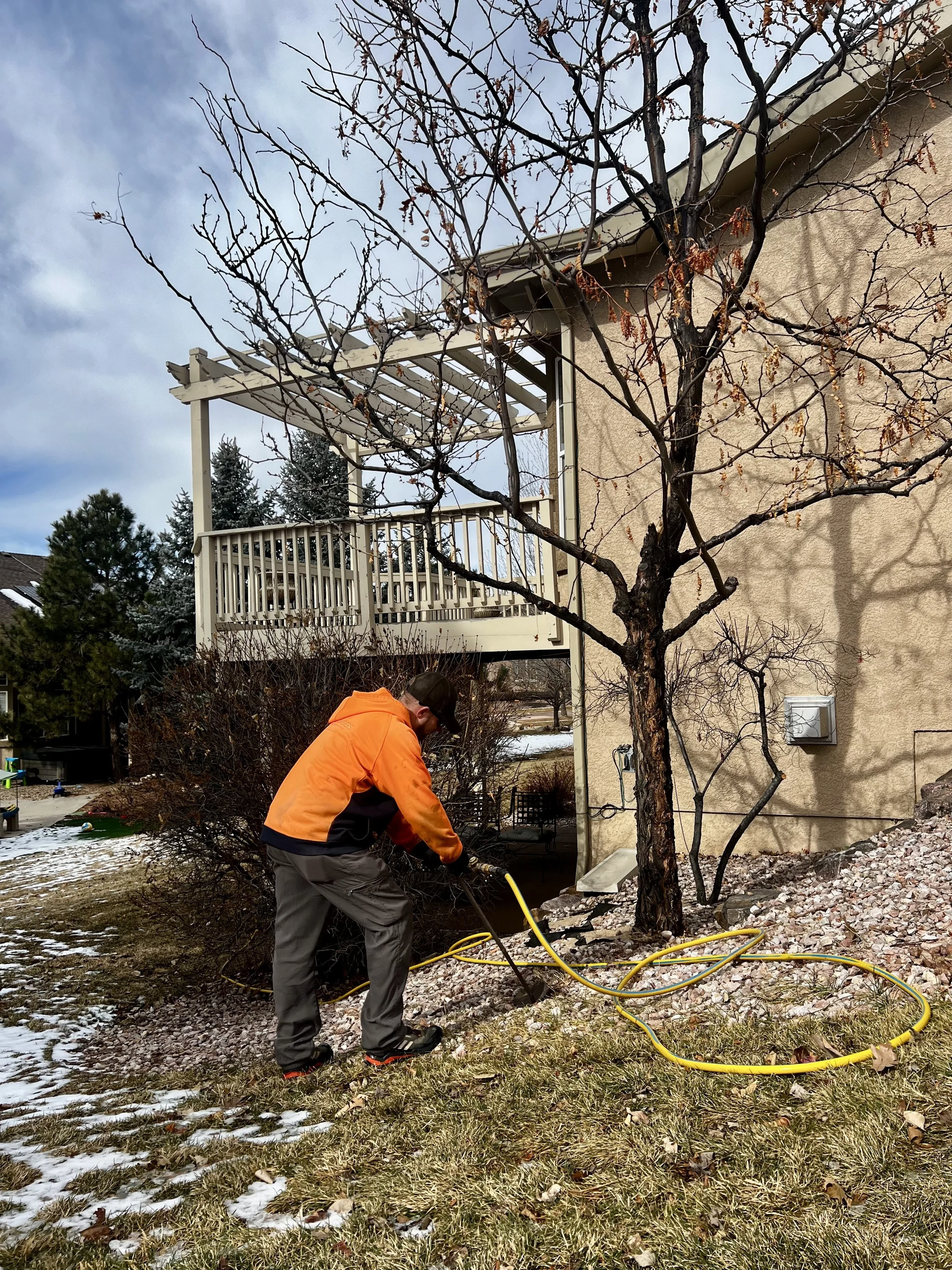 Arborist Deep Root Fertilizing Tree