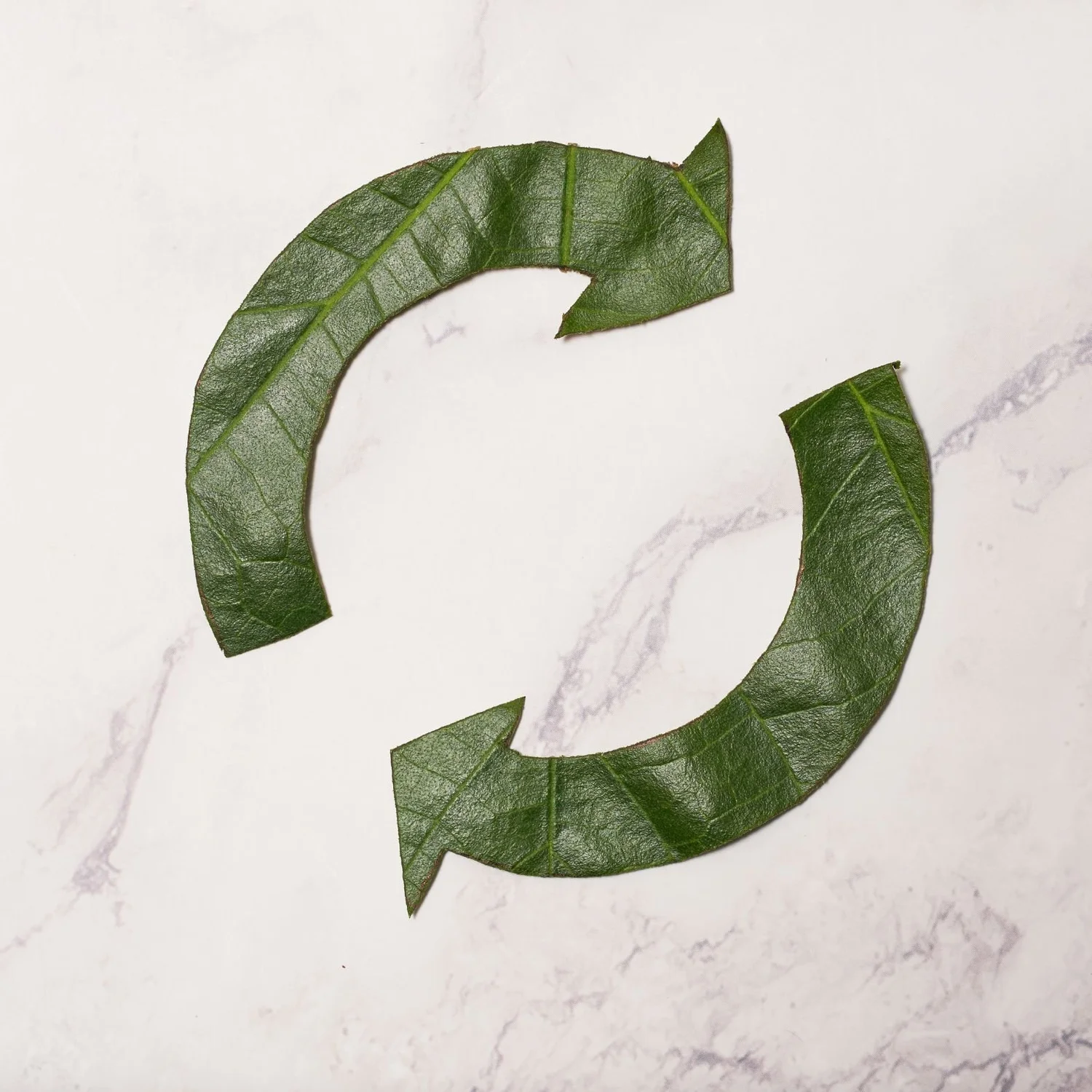 Reviving Christmas Spirit The EcoFriendly Journey of Recycling