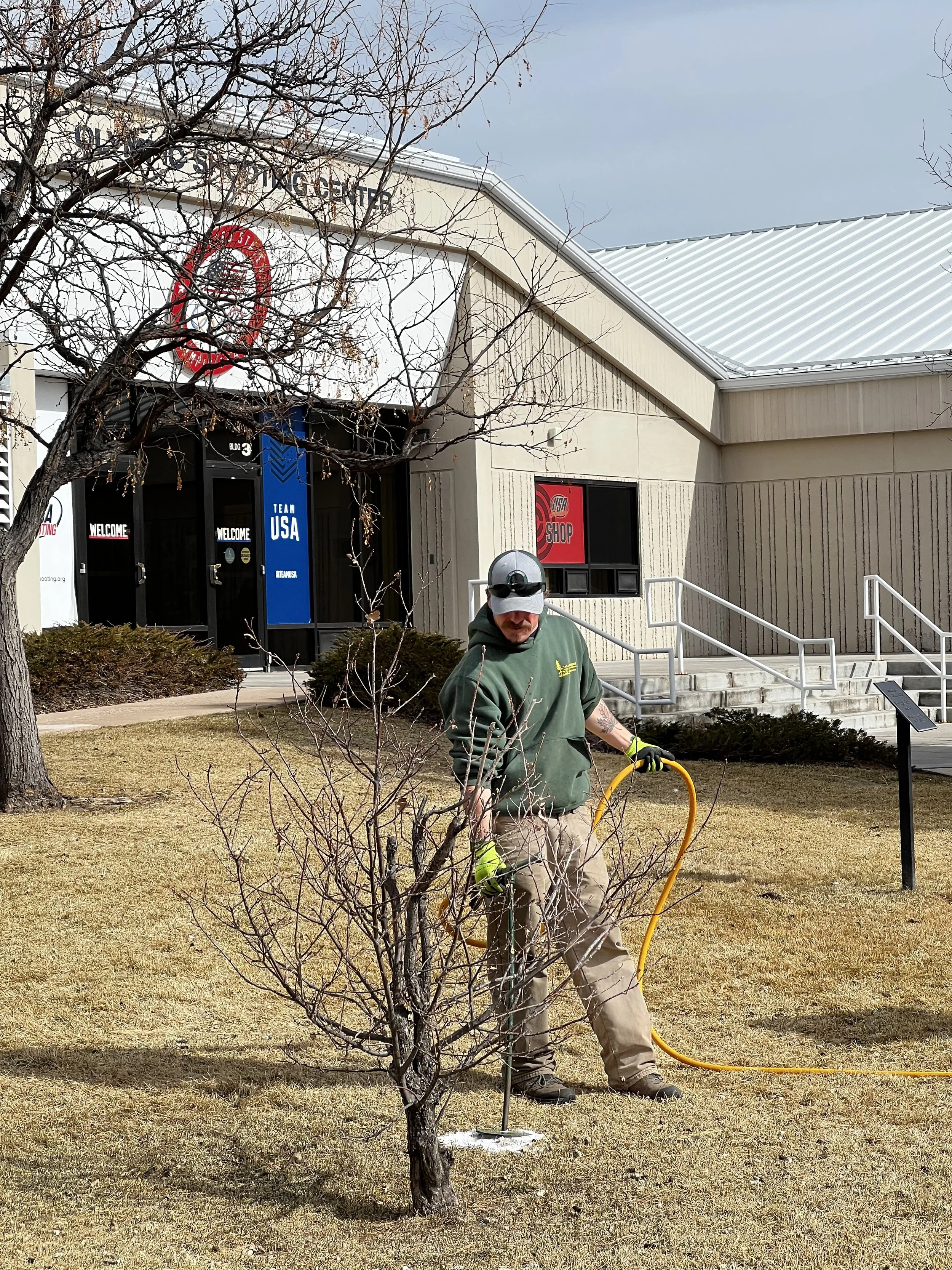 Arborist Fertilizing Shrubs In Colorado Springs