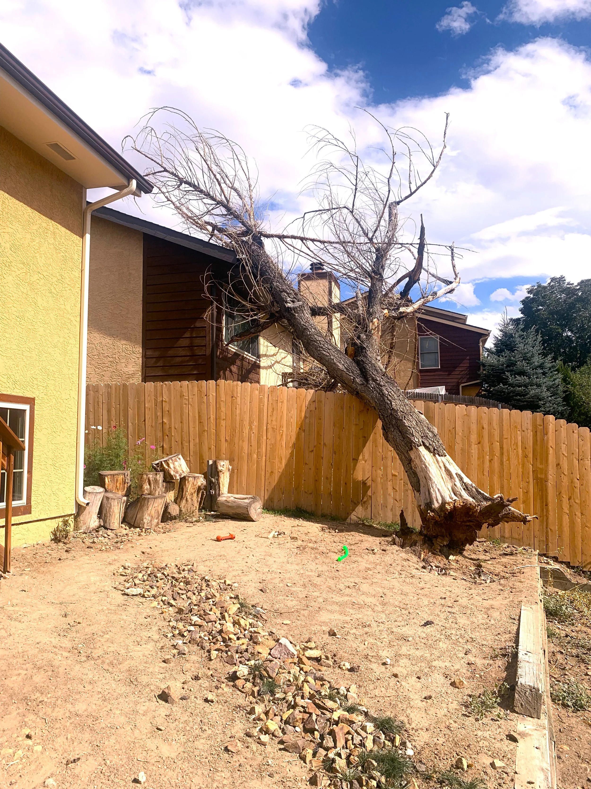 Yard with large, leafless tree leaning over a wooden fence, yellow and brown houses in the background, and uneven dirt ground with rocks and a row of logs.