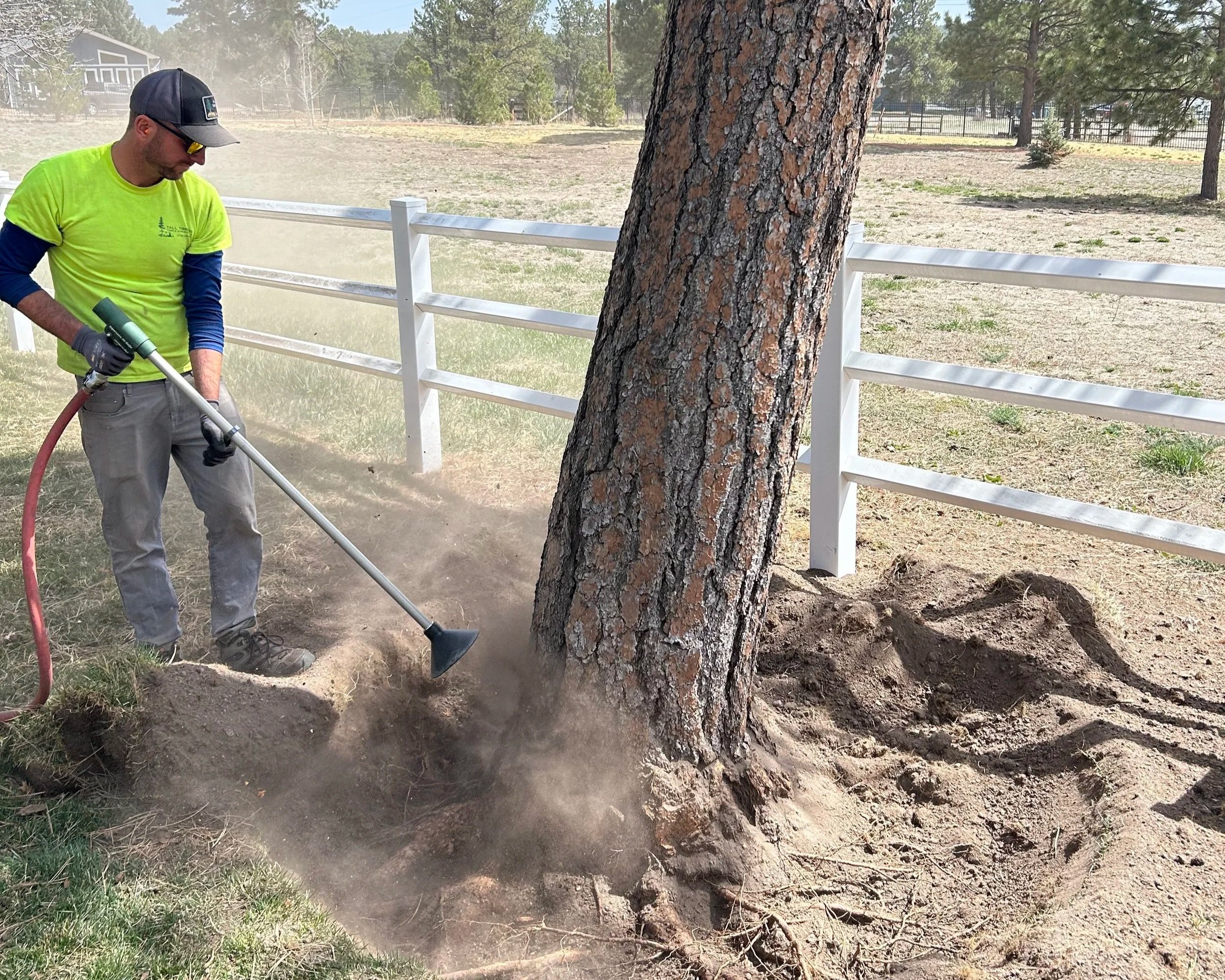 Tall Timbers technician air spading tree roots in Black Forest to improve soil health.