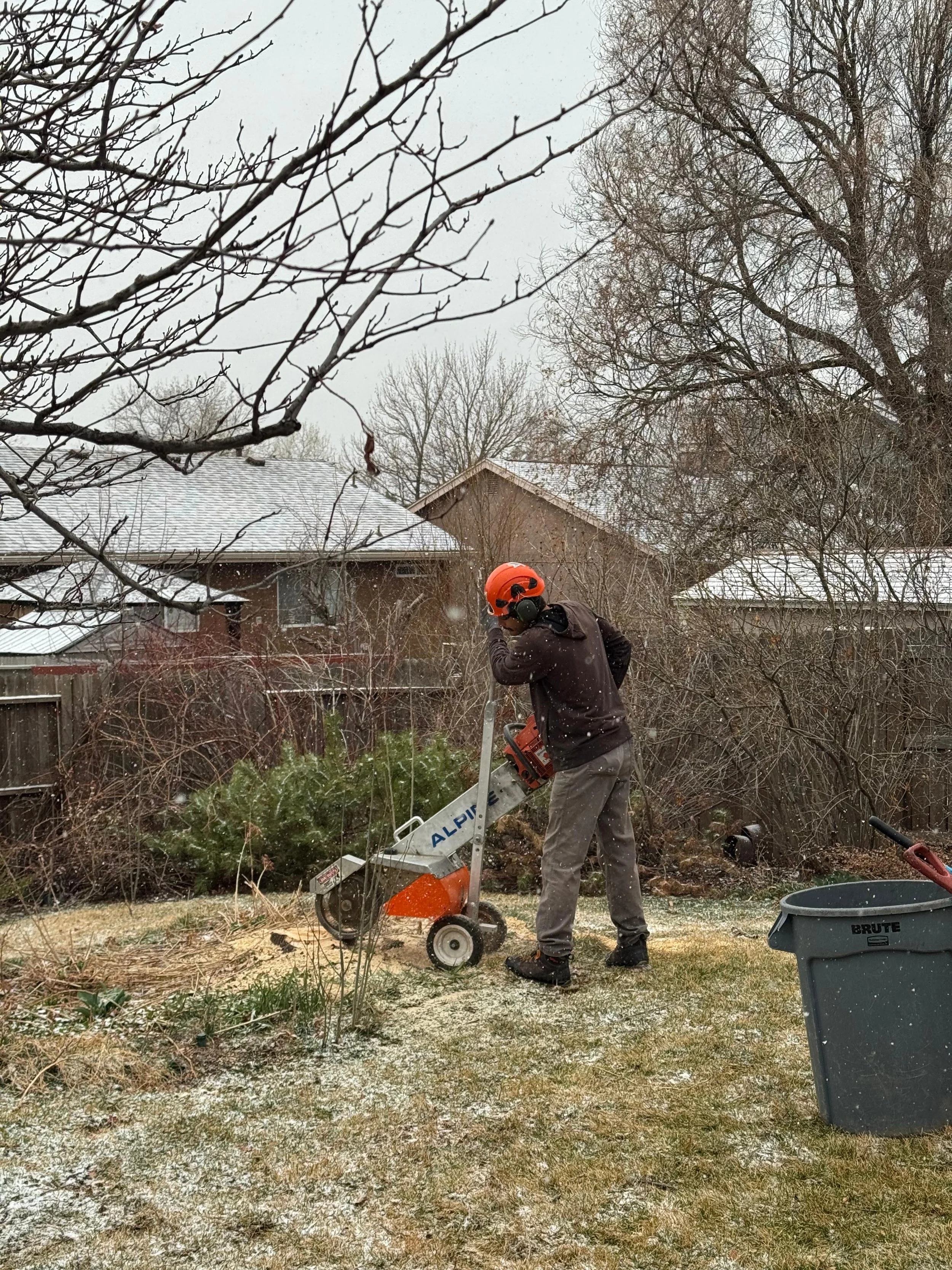A person wearing a helmet and ear protection operating a chainsaw in a backyard. The yard has some grass and mulch, with trees, bushes, and houses in the background. It is a snowy or frosty day.