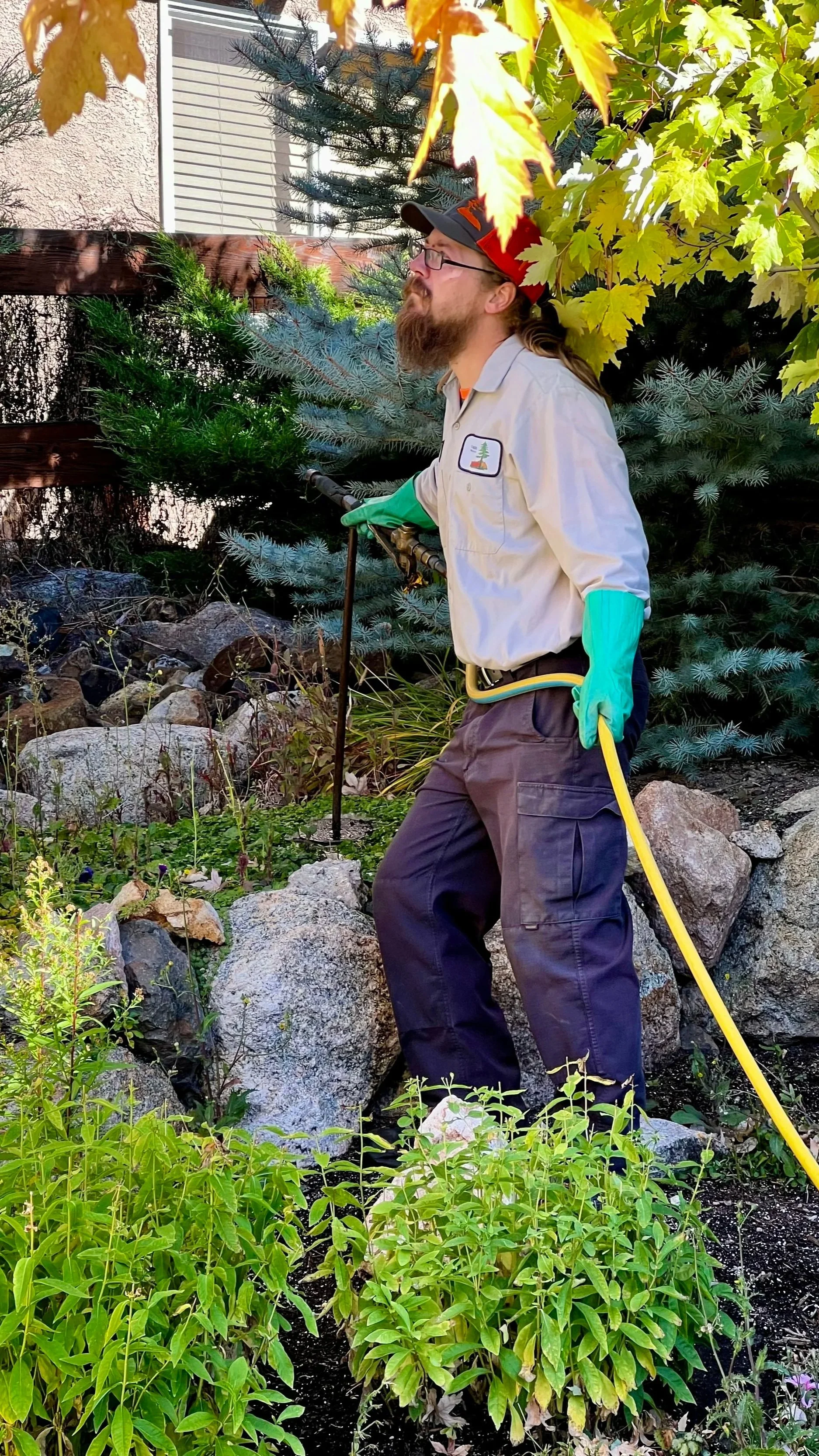Tall Timbers Plant Health Care team providing deep root feeding in Castle Rock