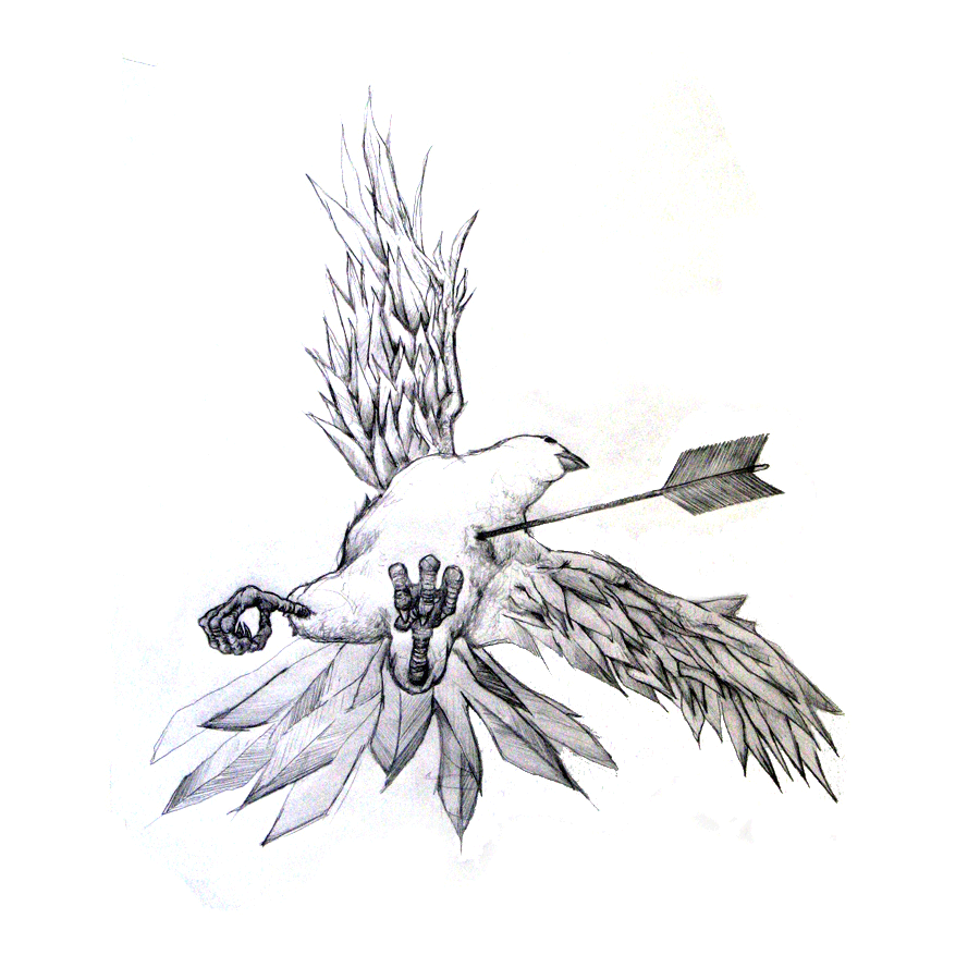 bird_drawing20080624_0006.gif