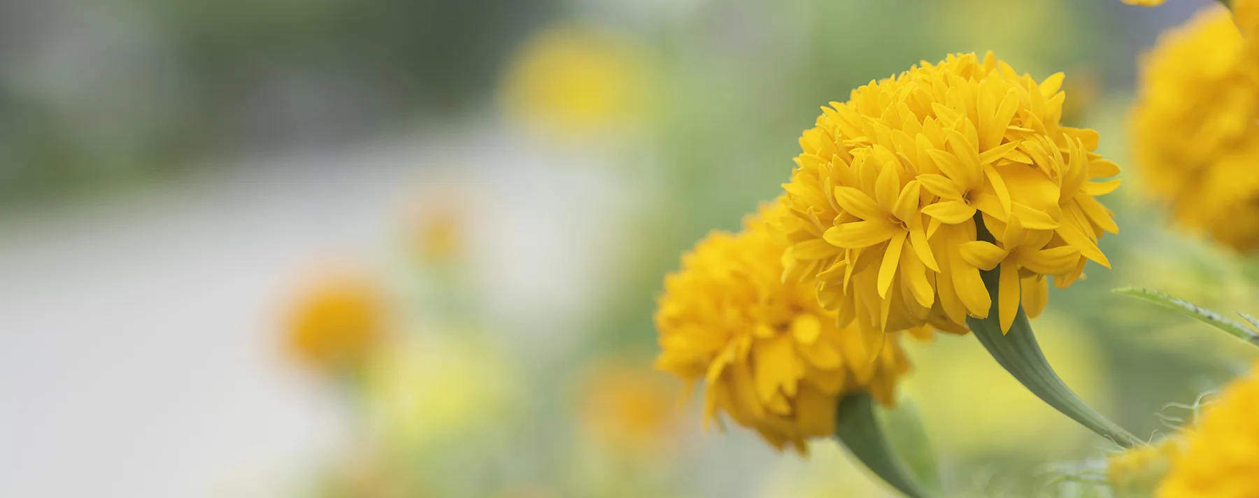 iStock-856959832.jpg