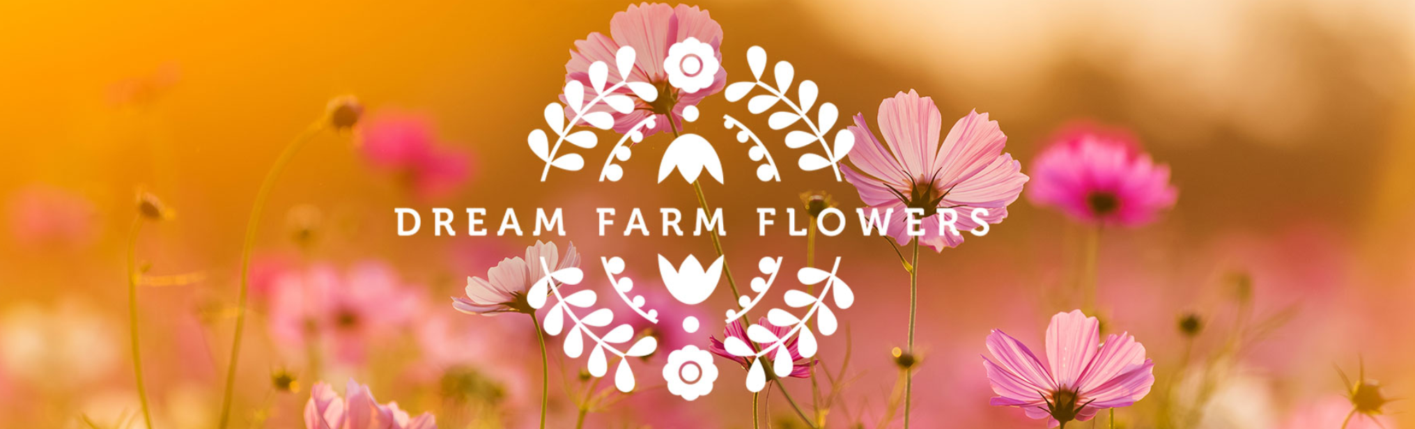 Wrapped Bouquet with Ribbon – Flower Farm Boise