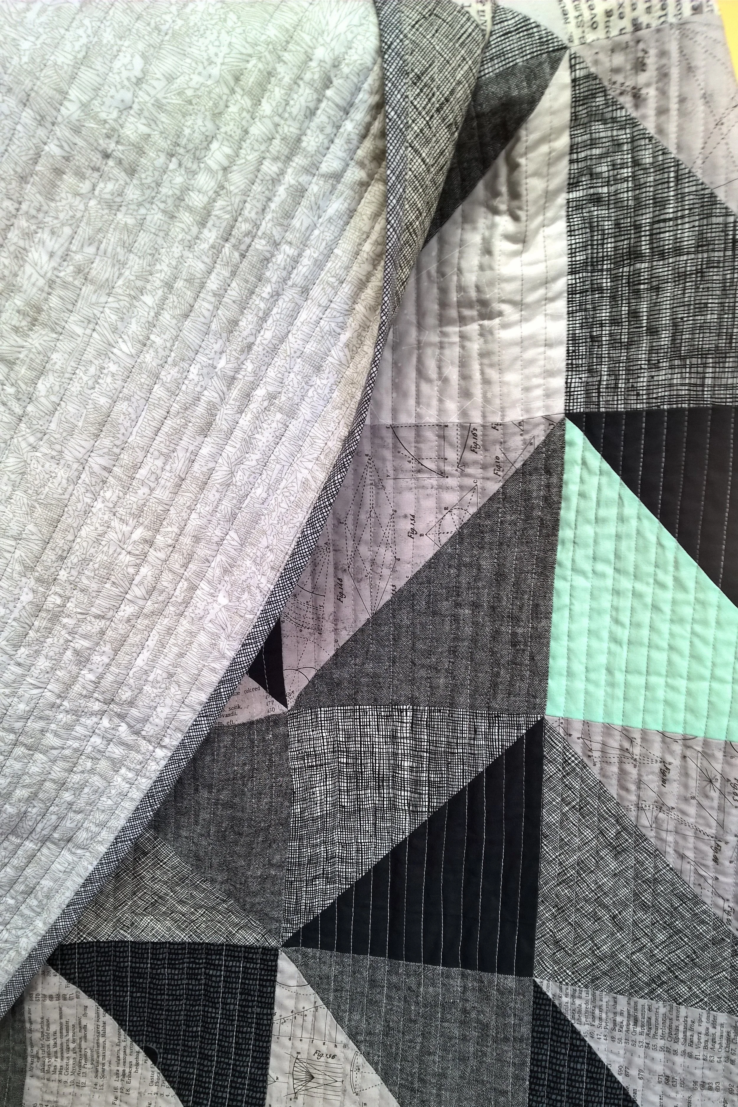Backing, binding, top.jpg
