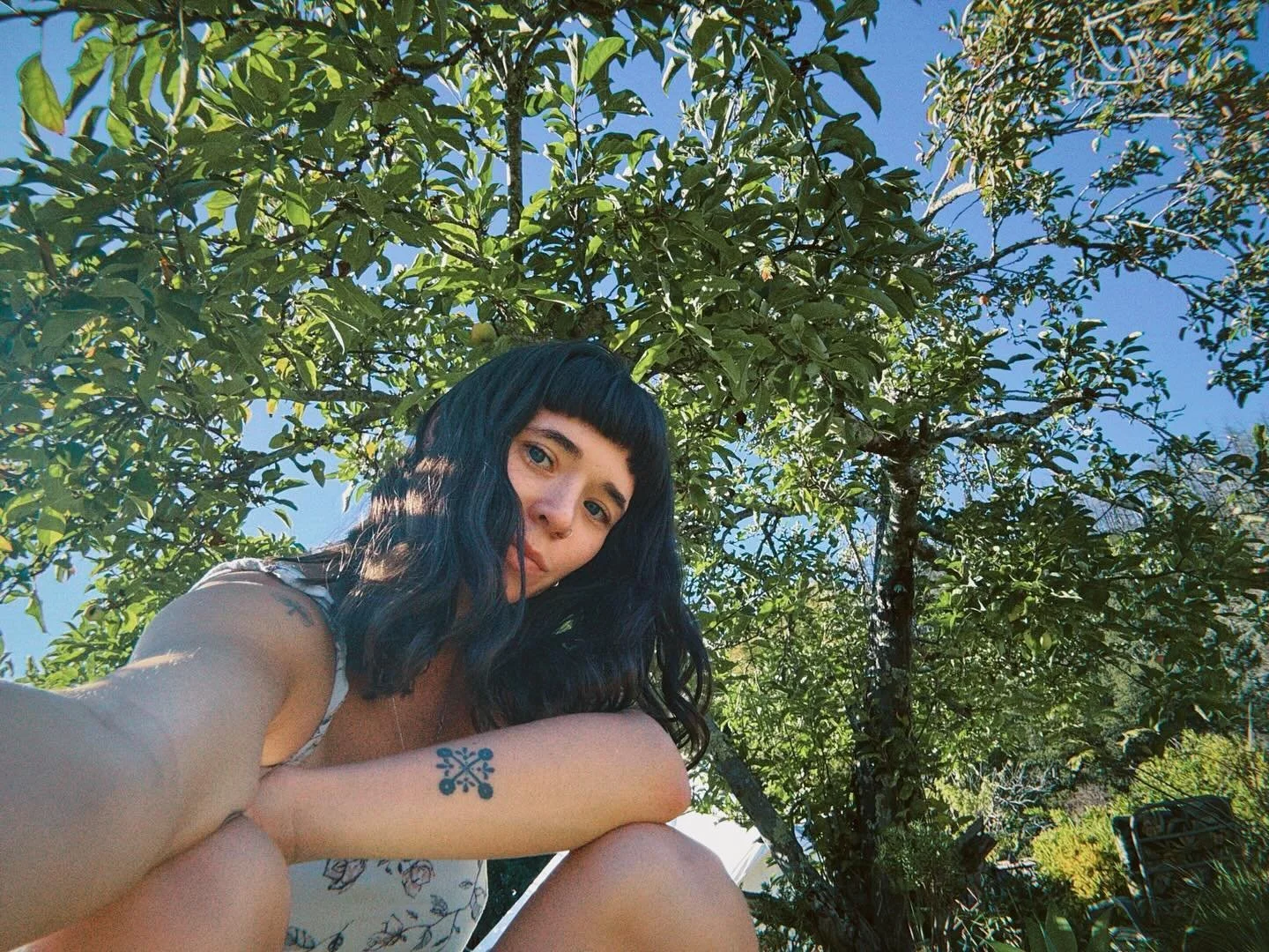 I&rsquo;ve been meditating under the apple tree