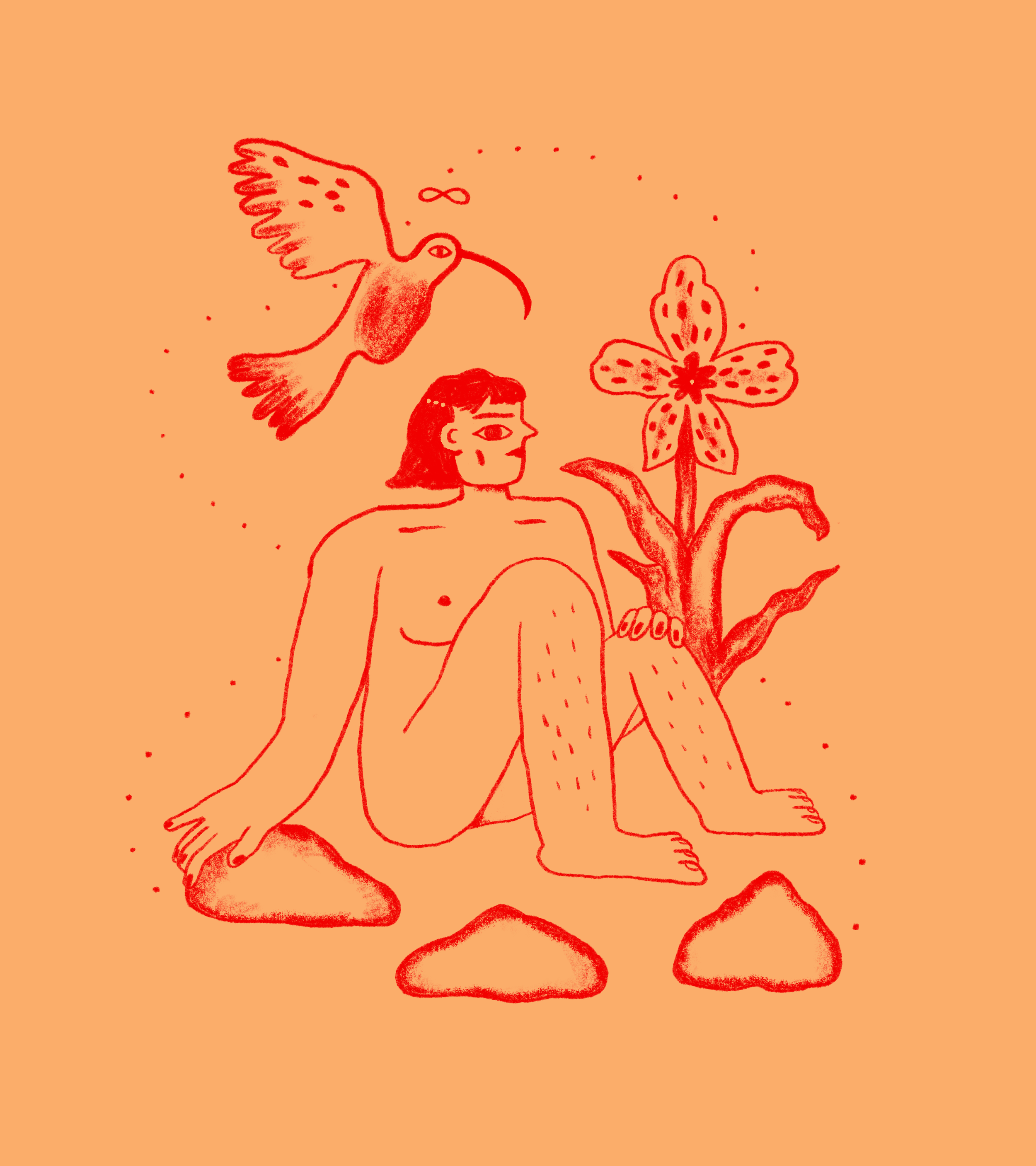 Humming Birds are Angels