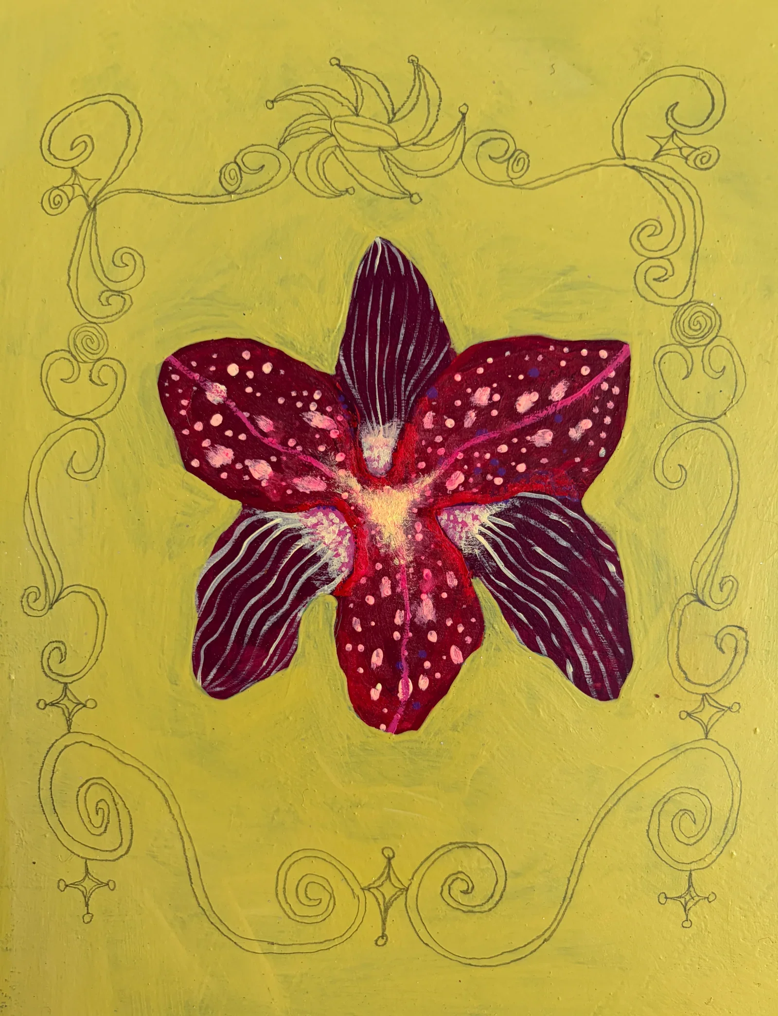 orchid-portal.webp