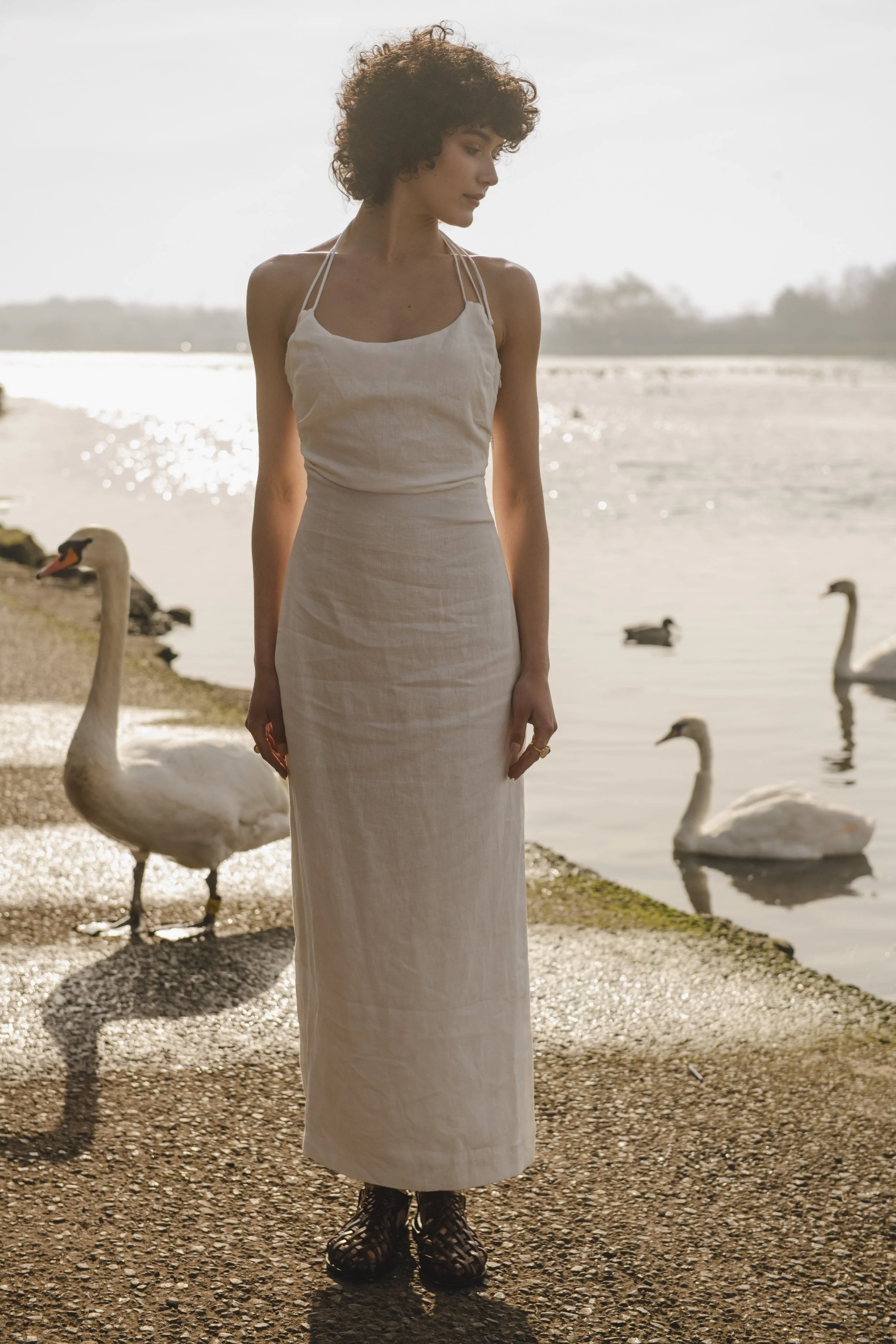 DSC_1126-Edit.jpg