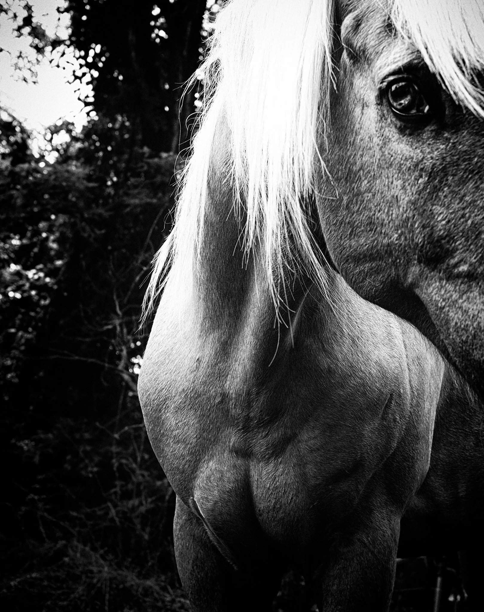 Understood, Great Meadows, NJ, 2017