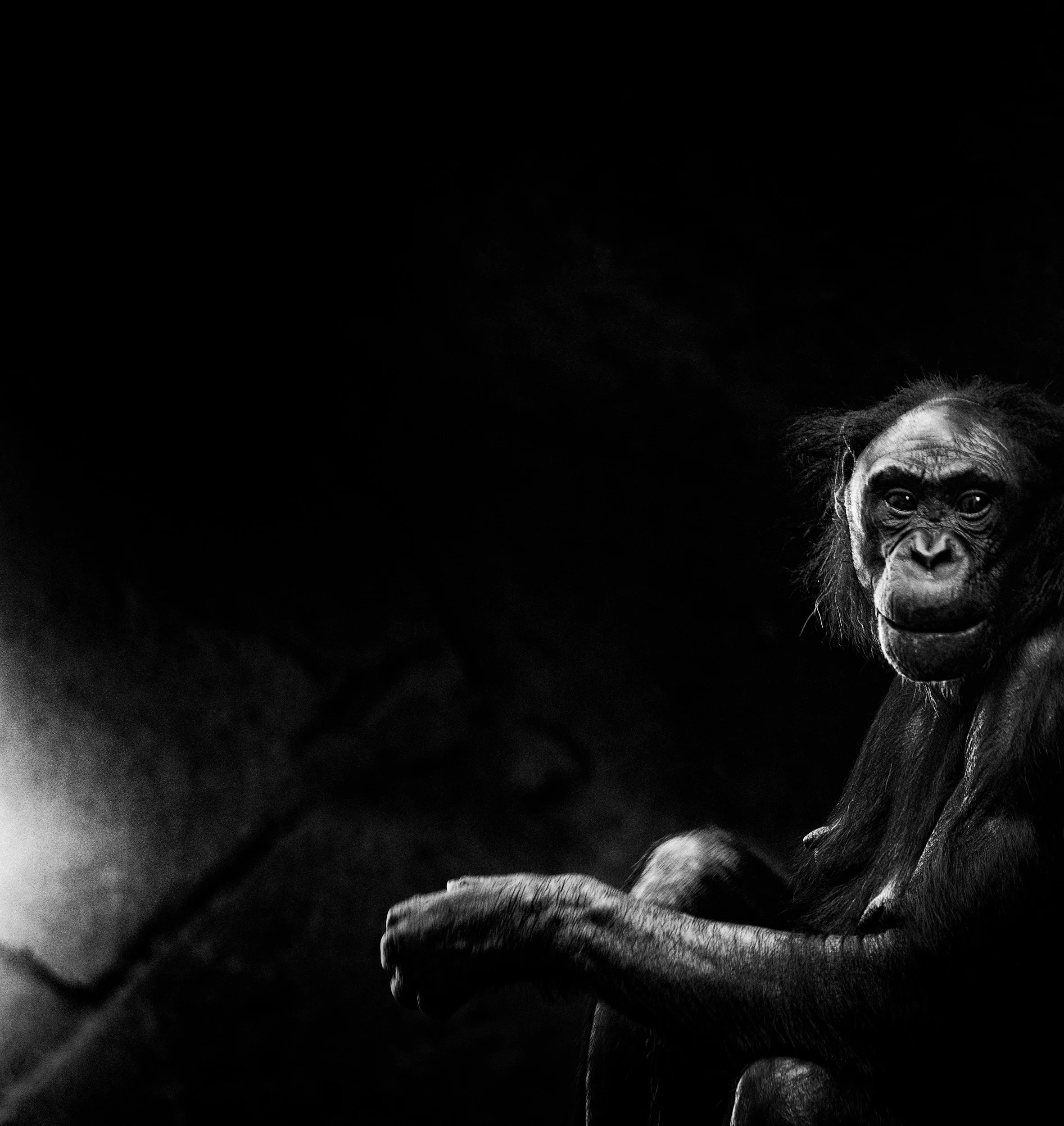 Aware, San Diego, 2018