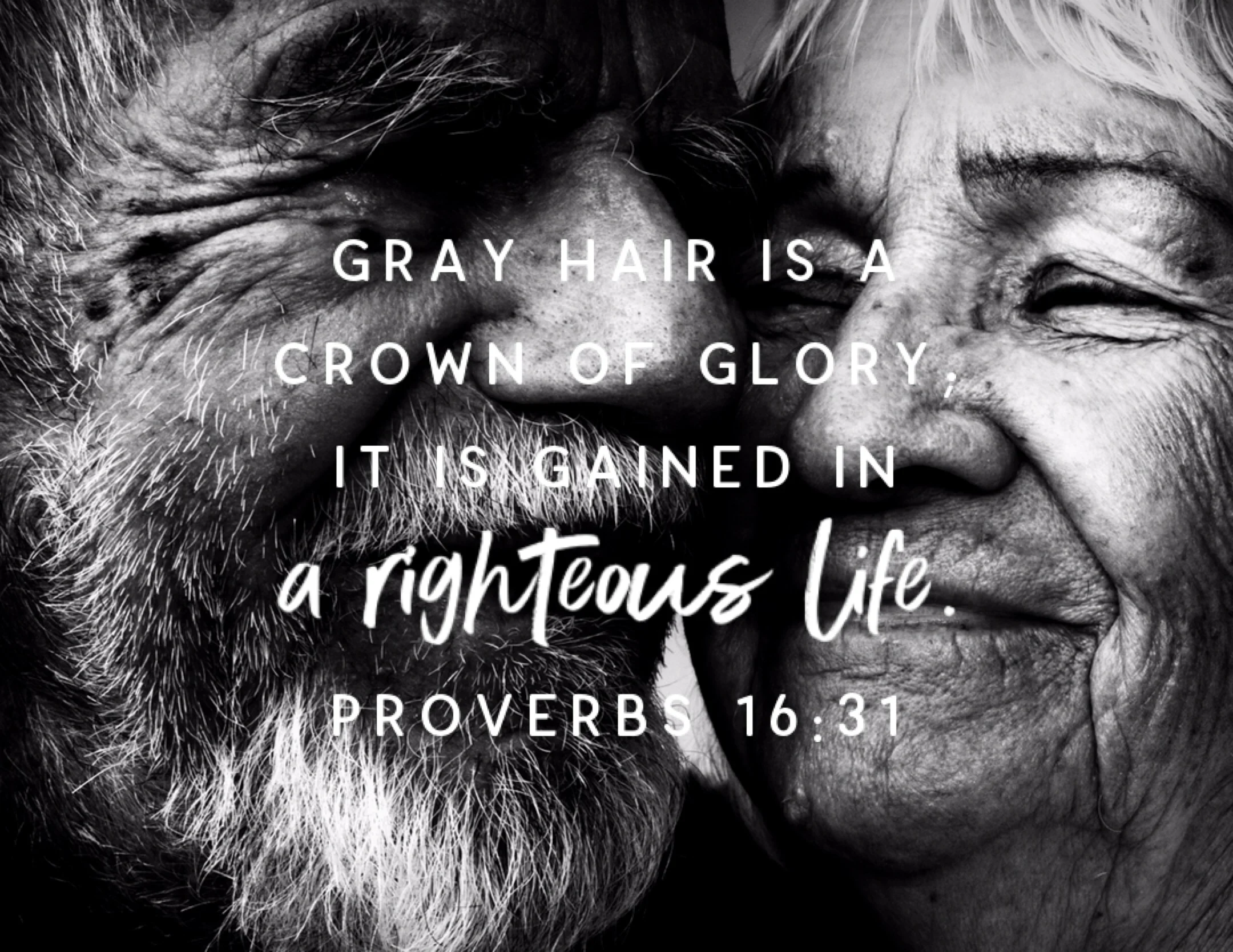 BibleLens_tom_sperduto_0007.JPG