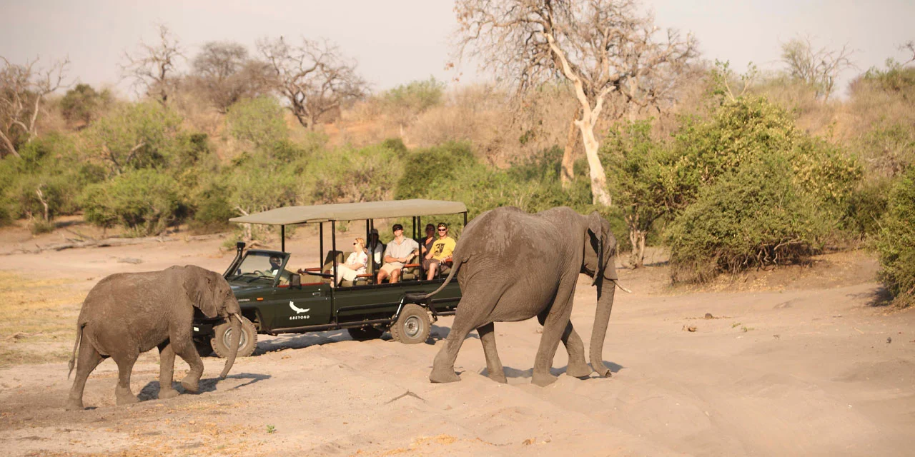 chobe-under-canvas-08.jpg