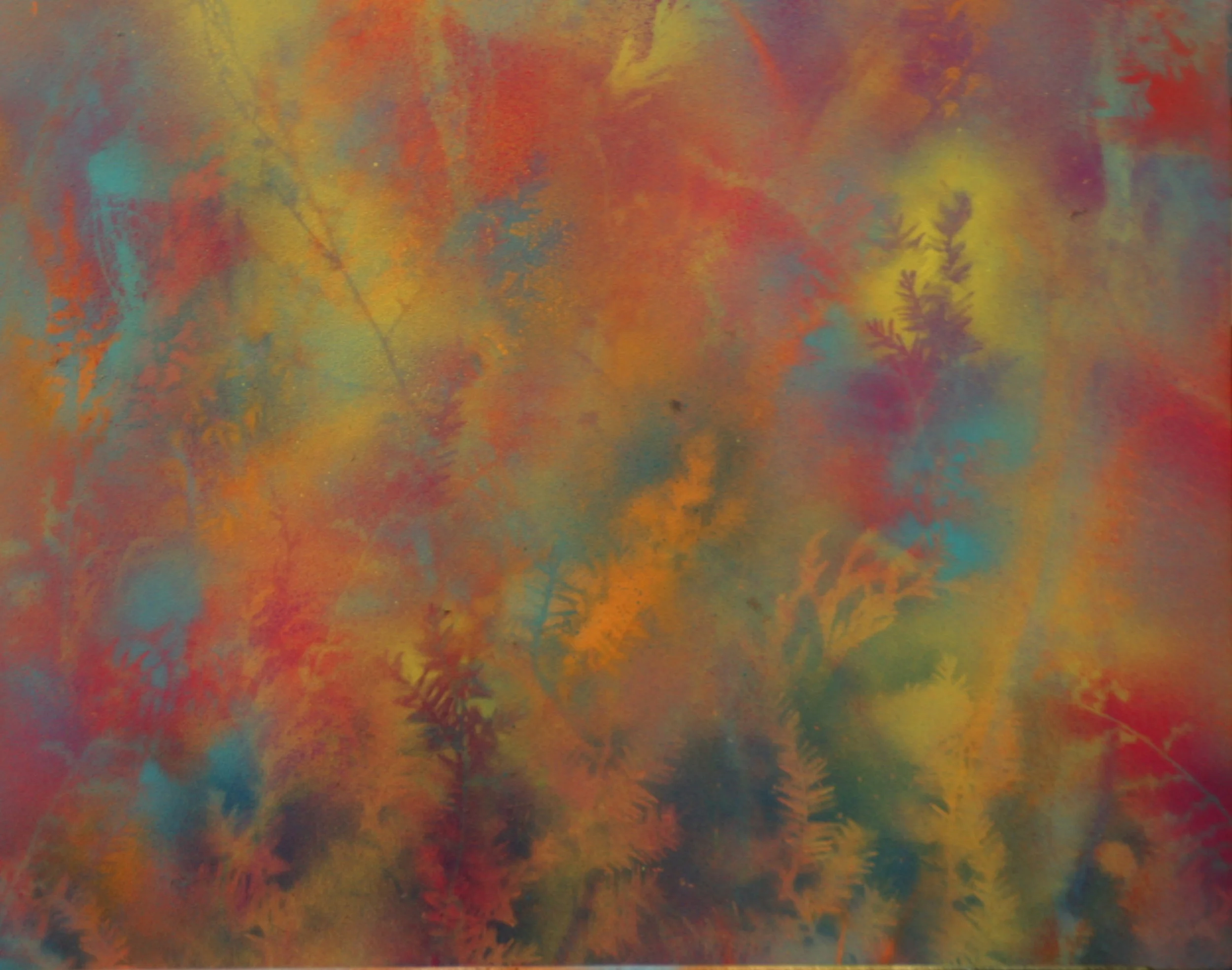 Meadow 1