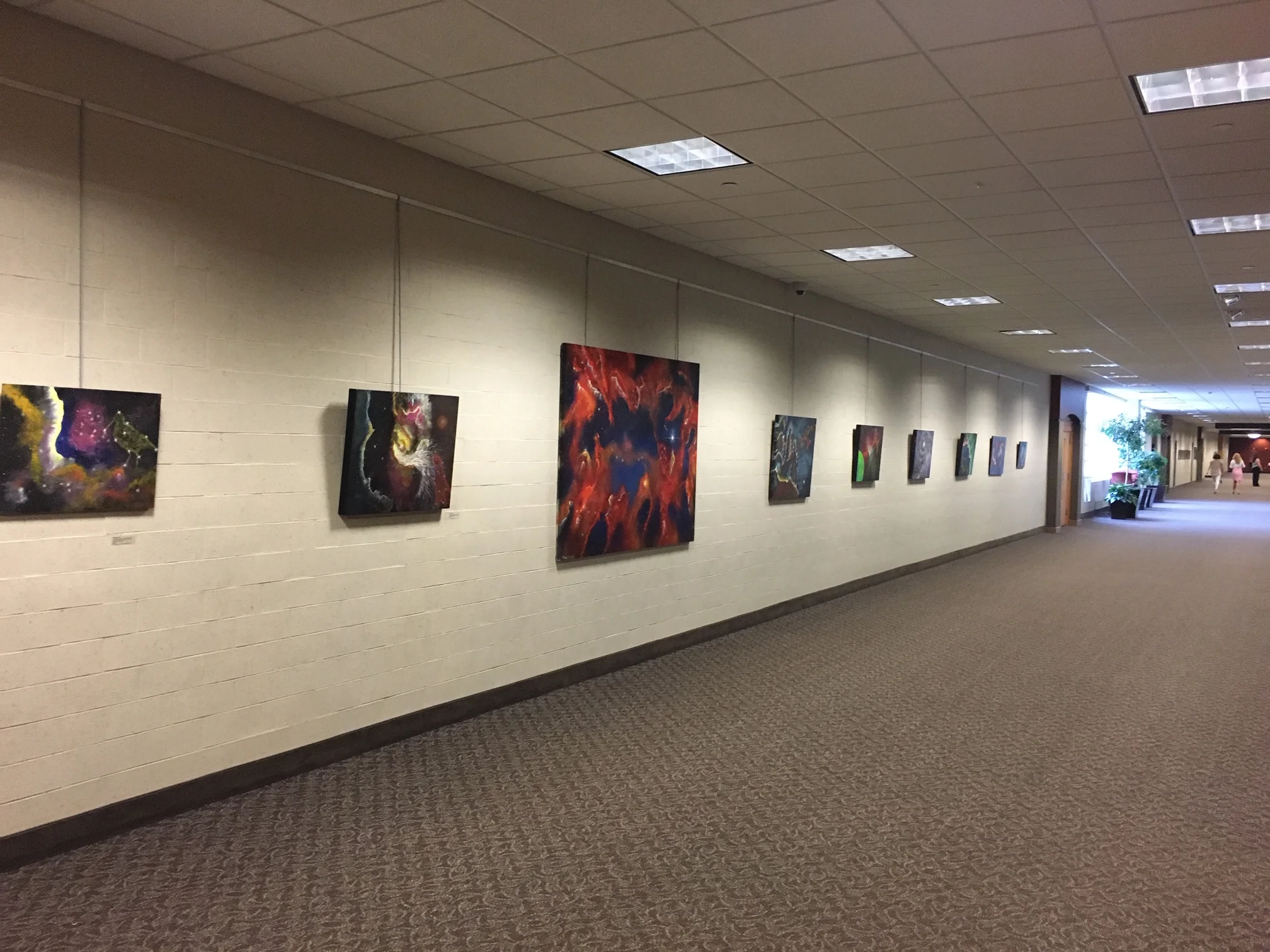 Bausch and Lomb 2018