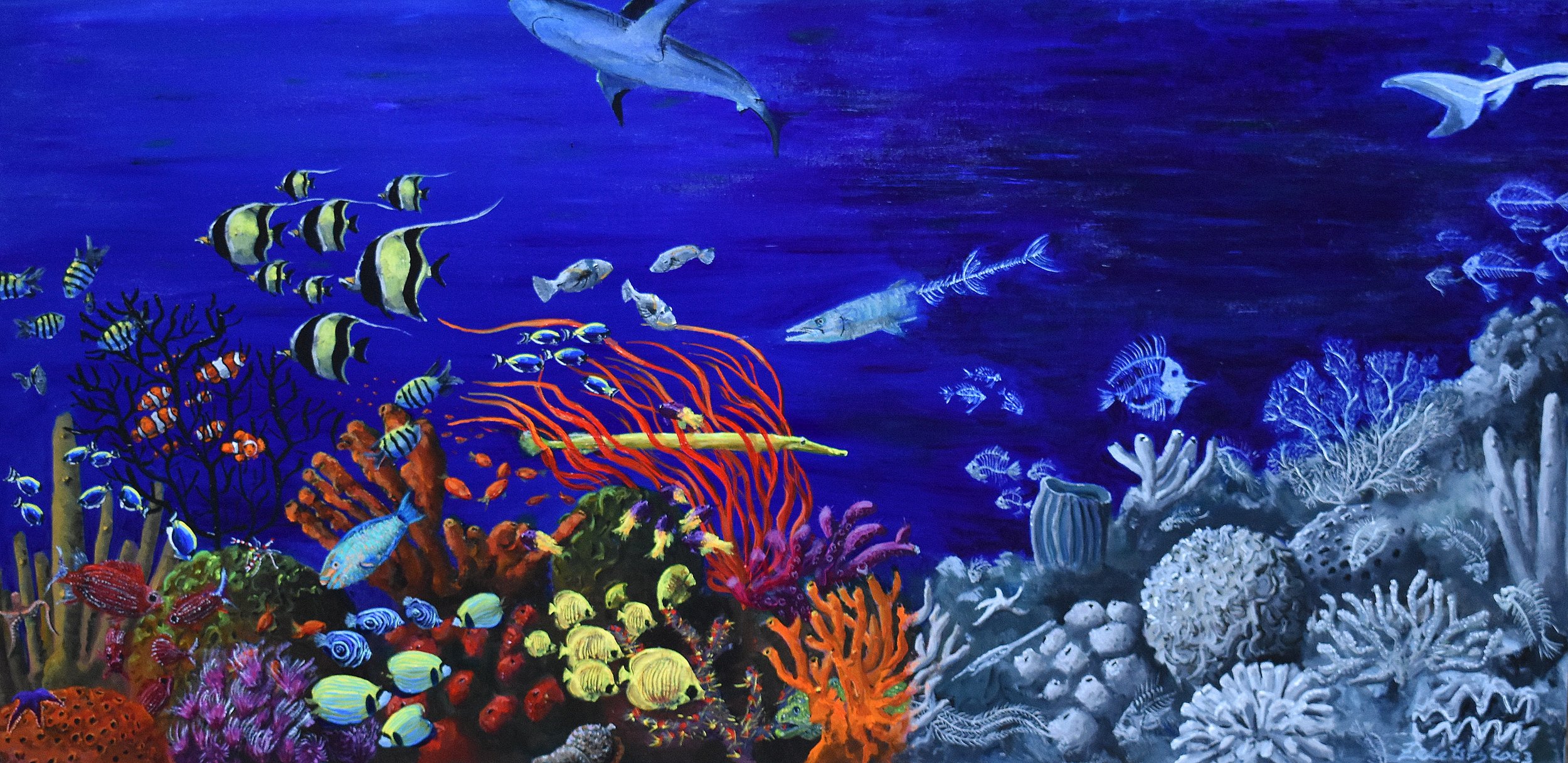Reef Madness 2