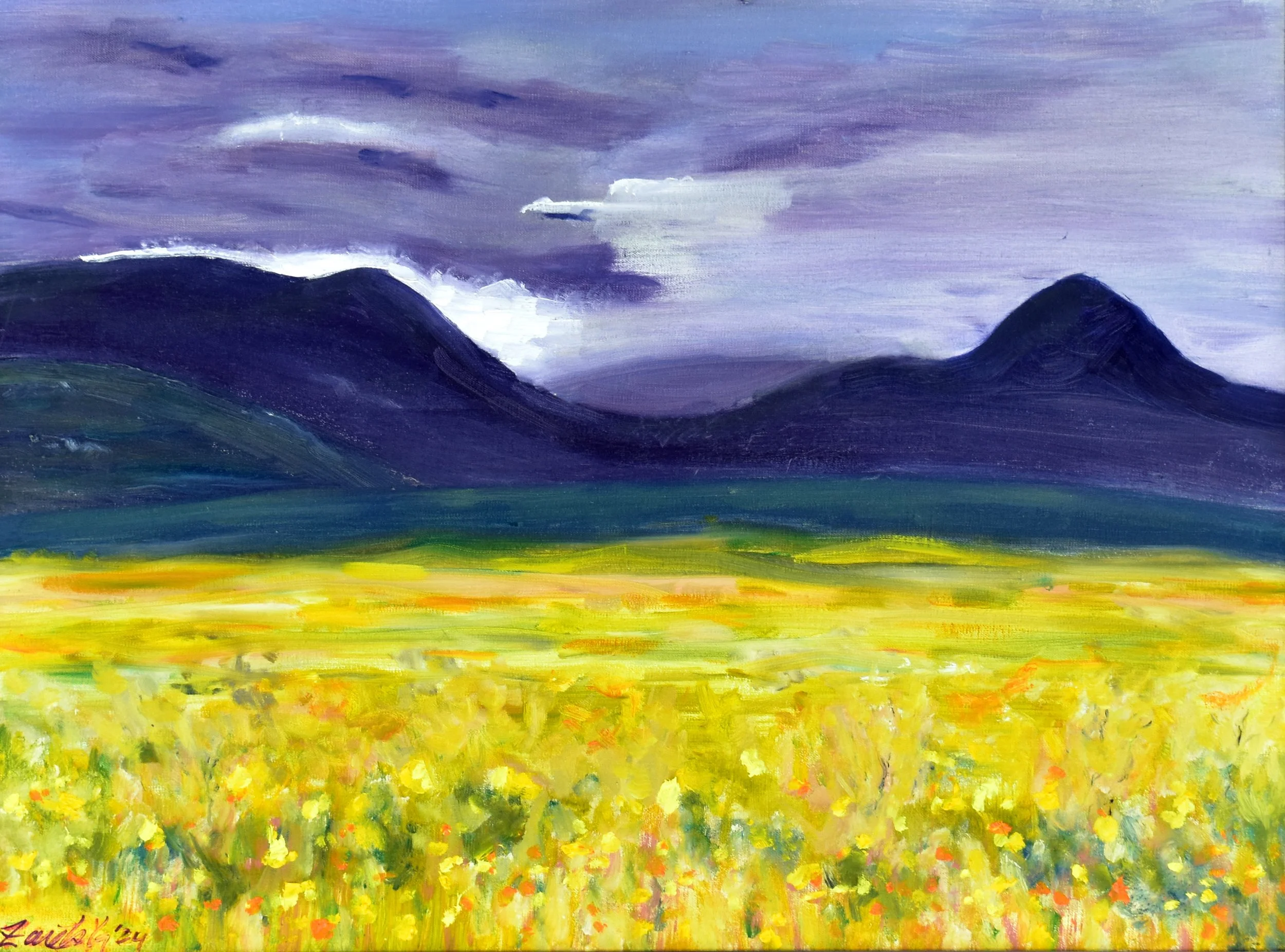 Somewhere in Iceland