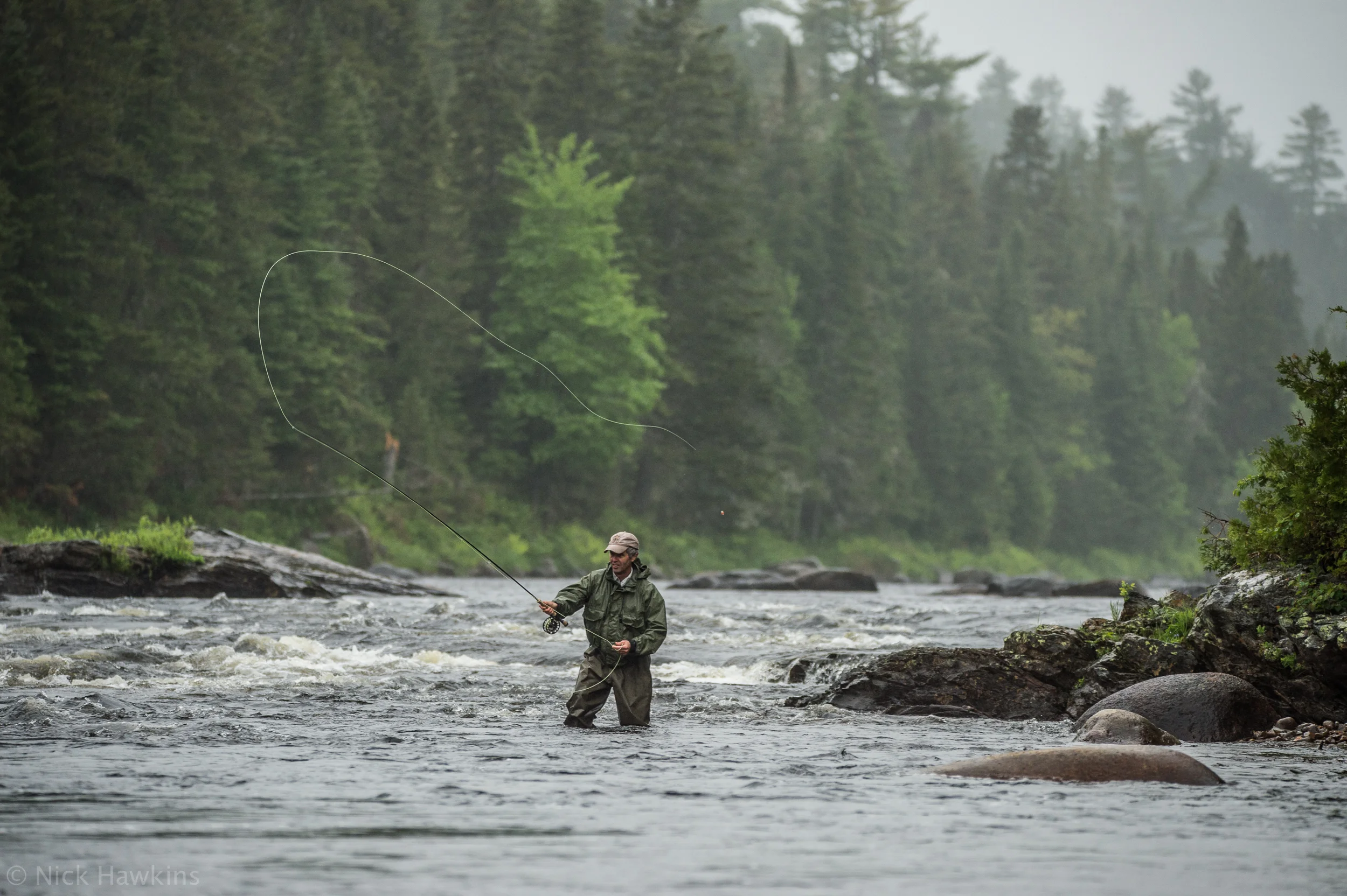 saving-salmon-Nick-Hawkins-7499.jpg