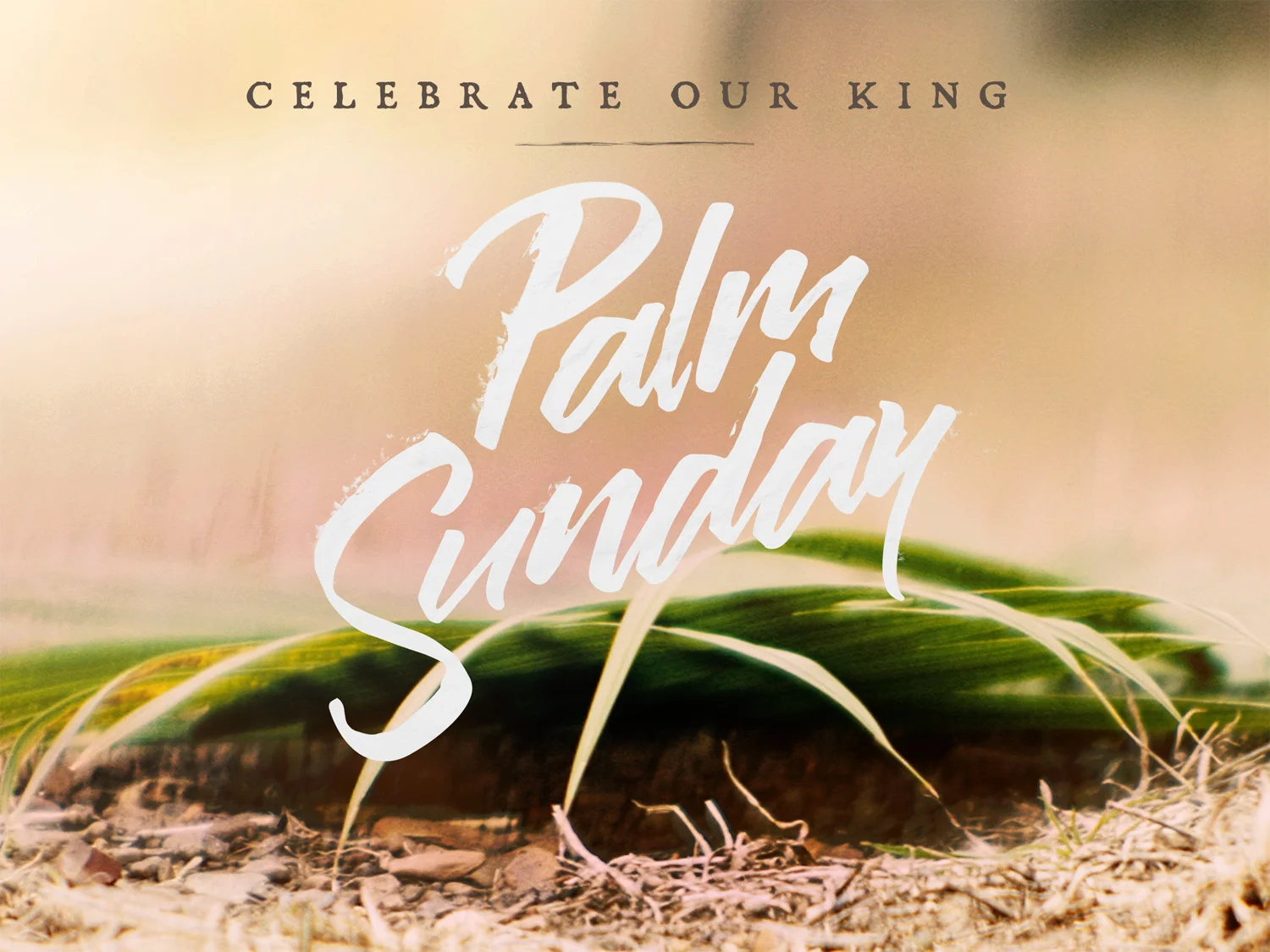easter_moments_palm_sunday-title-1-Standard 4x3.jpg