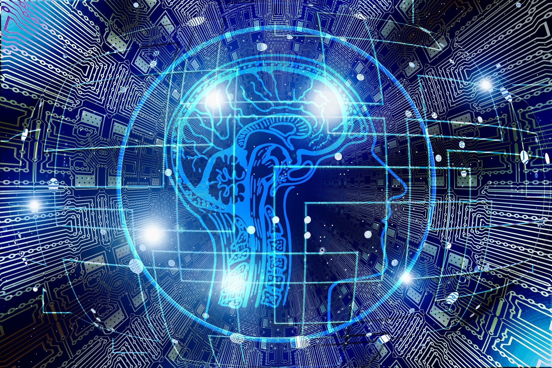 Understanding the Racist Brain: The Neural Correlations of Implicit Biases