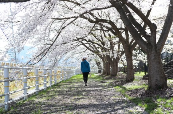 Green Exercise: The Springtime Boost Your Body and Mind Need